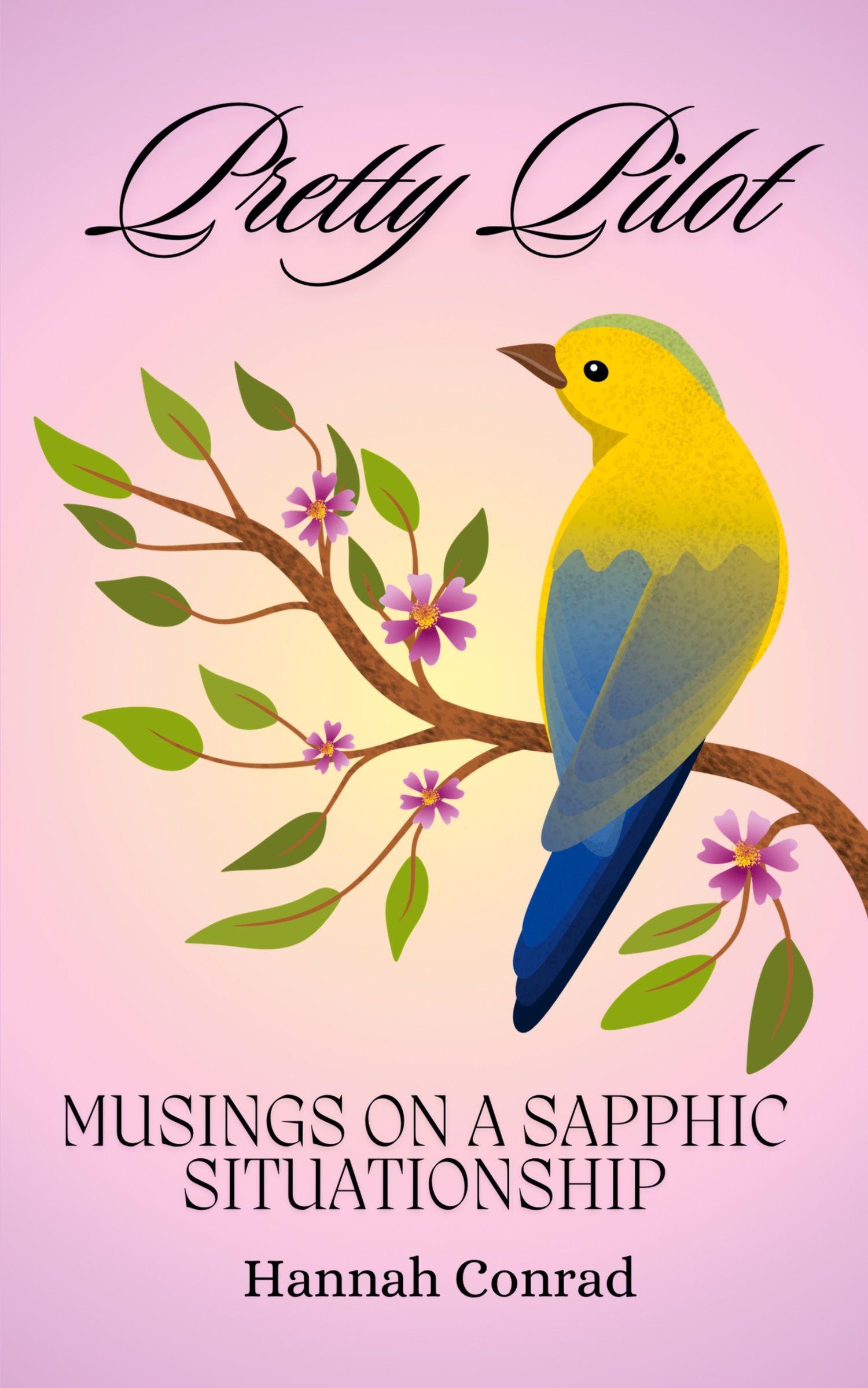 Vorderes Coverbild Pretty Pilot