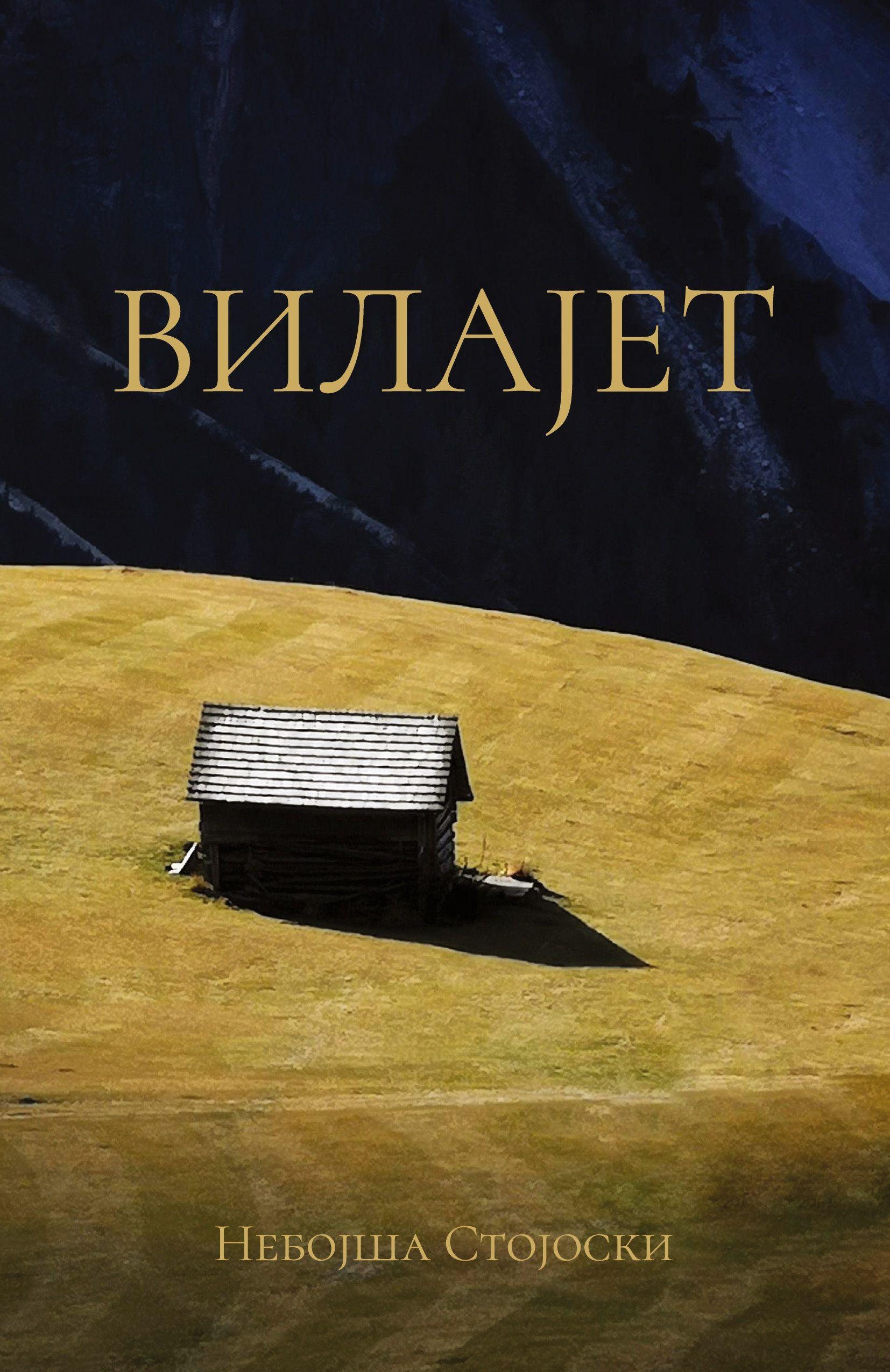 Vorderes Coverbild Vilajet