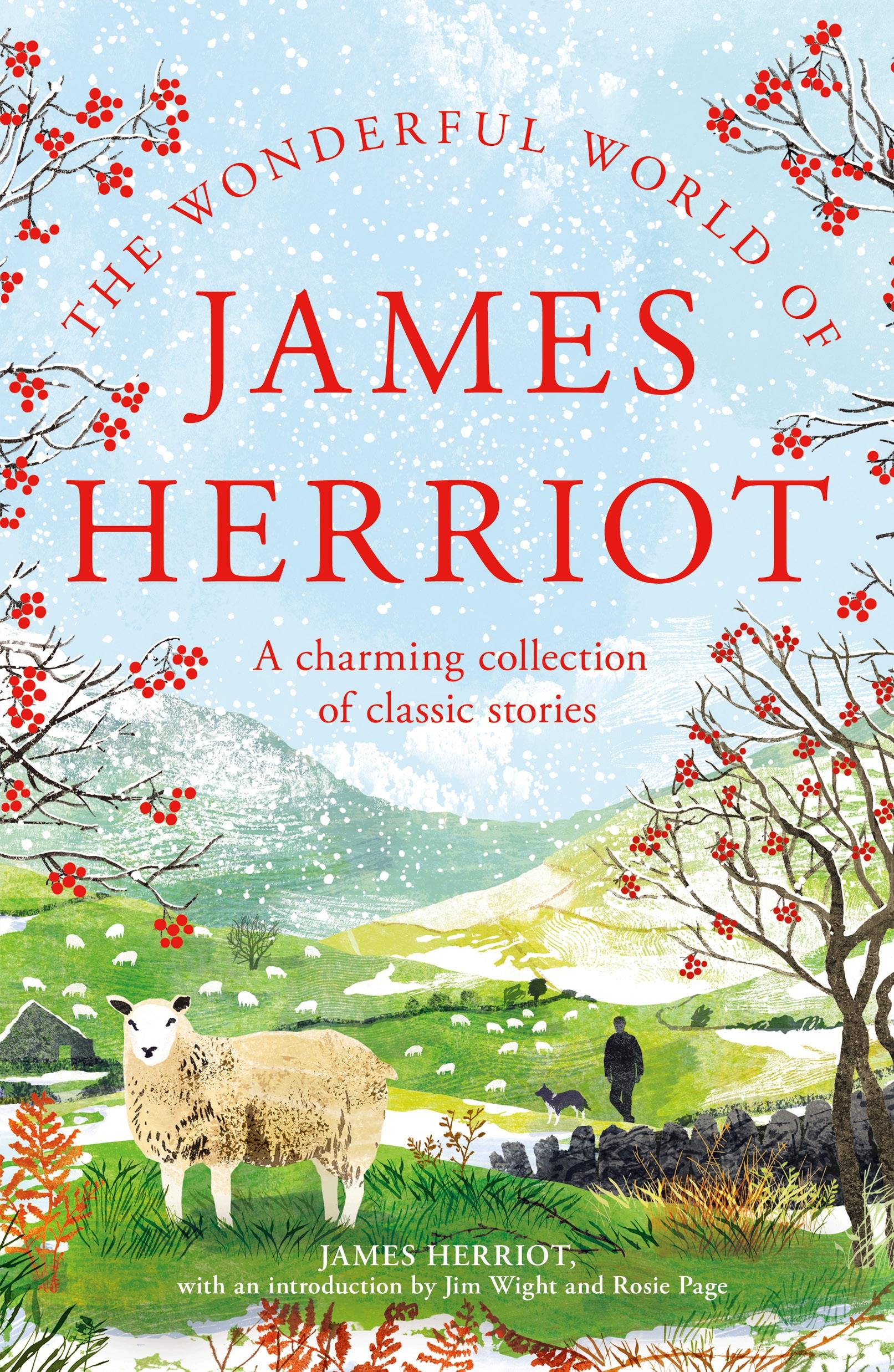 Vorderes Coverbild The Wonderful World of James Herriot