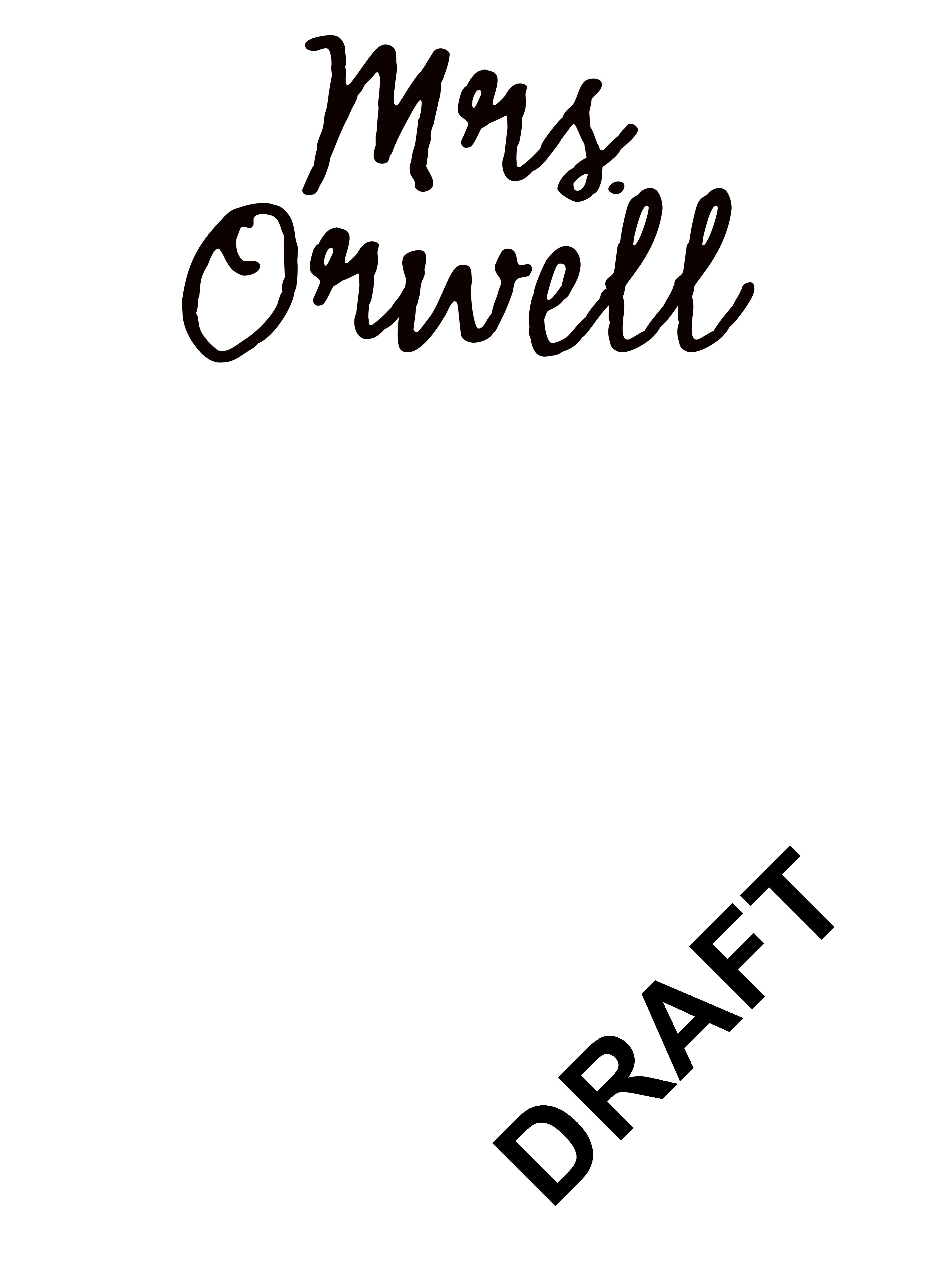 Vorderes Coverbild Mrs. Orwell