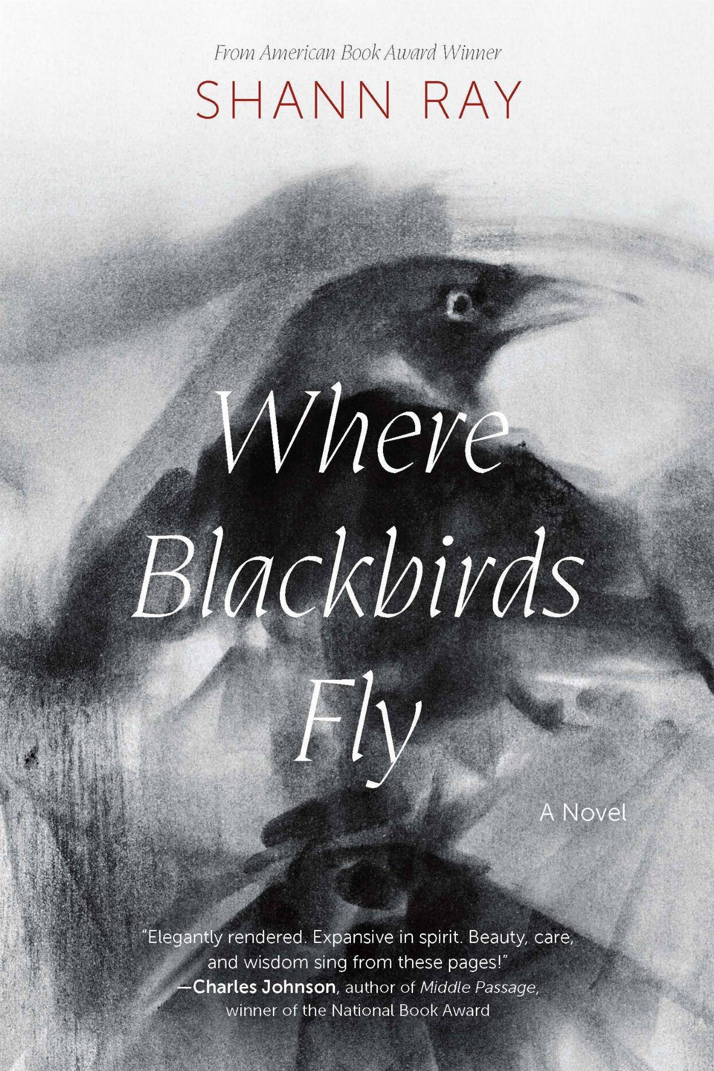 Vorderes Coverbild Where Blackbirds Fly