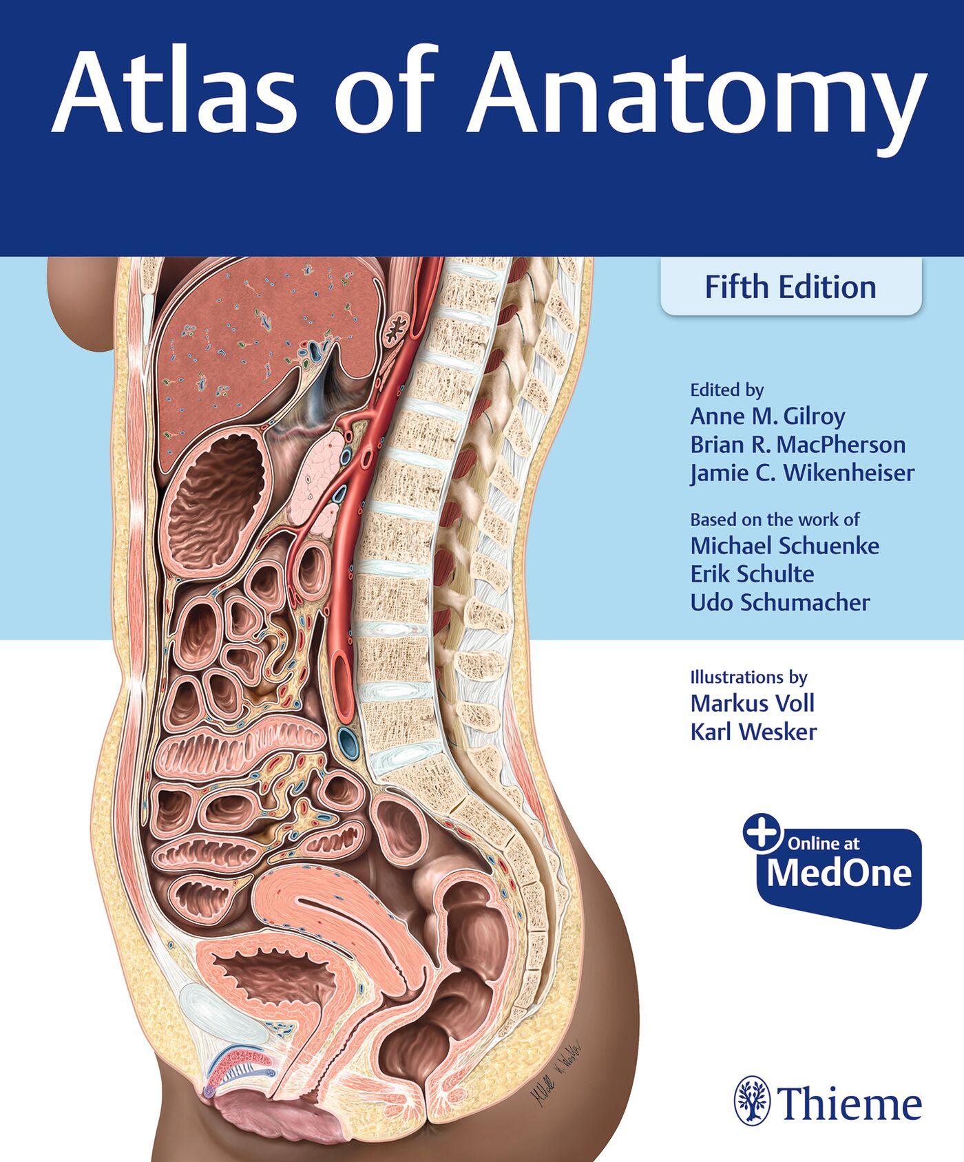 Vorderes Coverbild Atlas of Anatomy