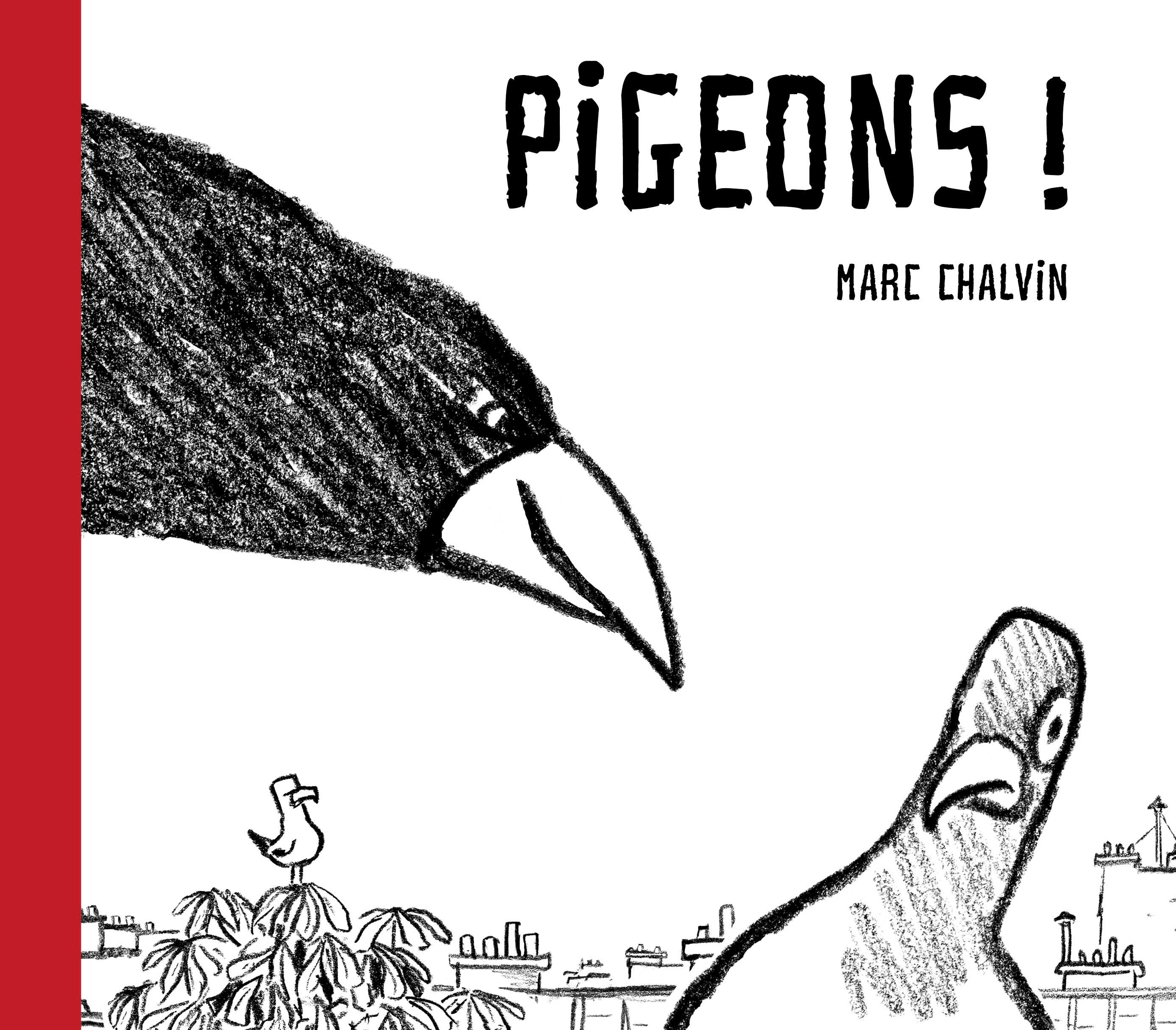 Vorderes Coverbild Pigeons!