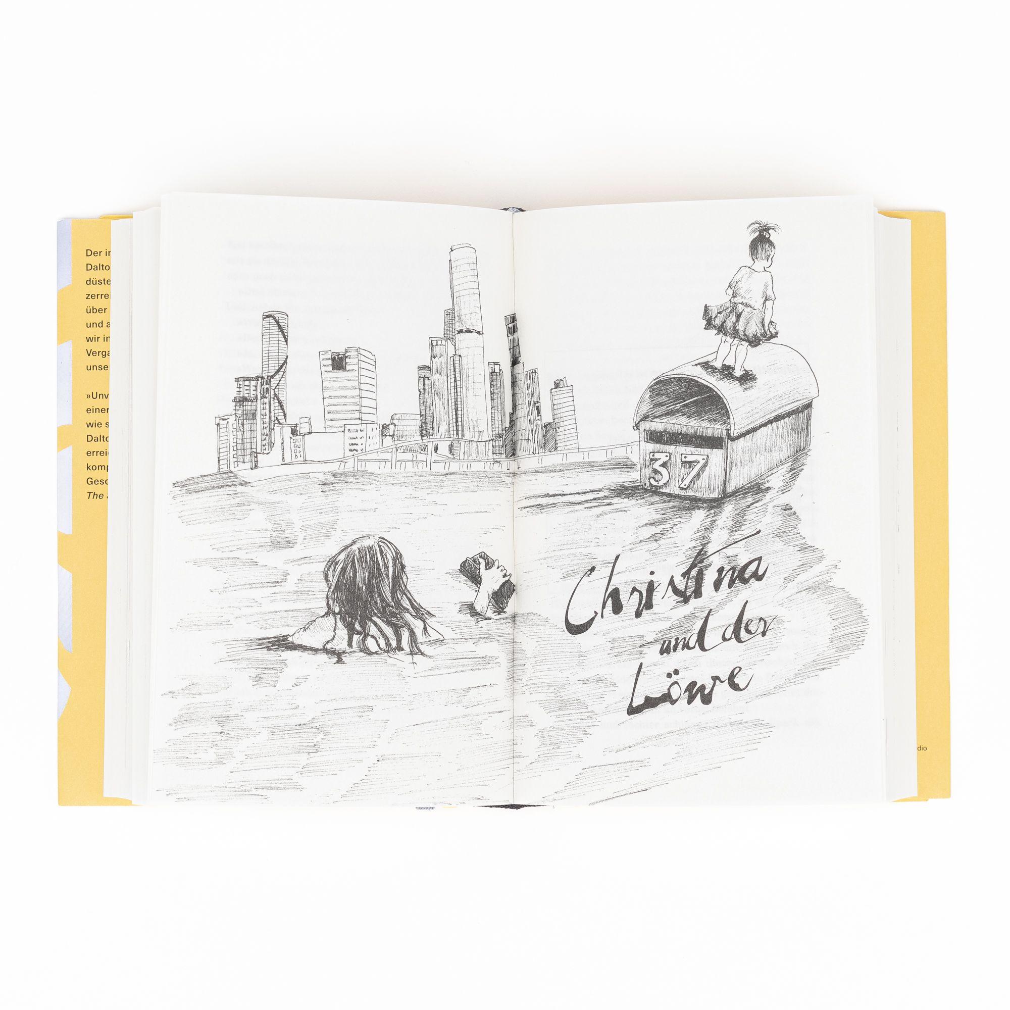 Beispielinhalt (Bild) Lola im Spiegel