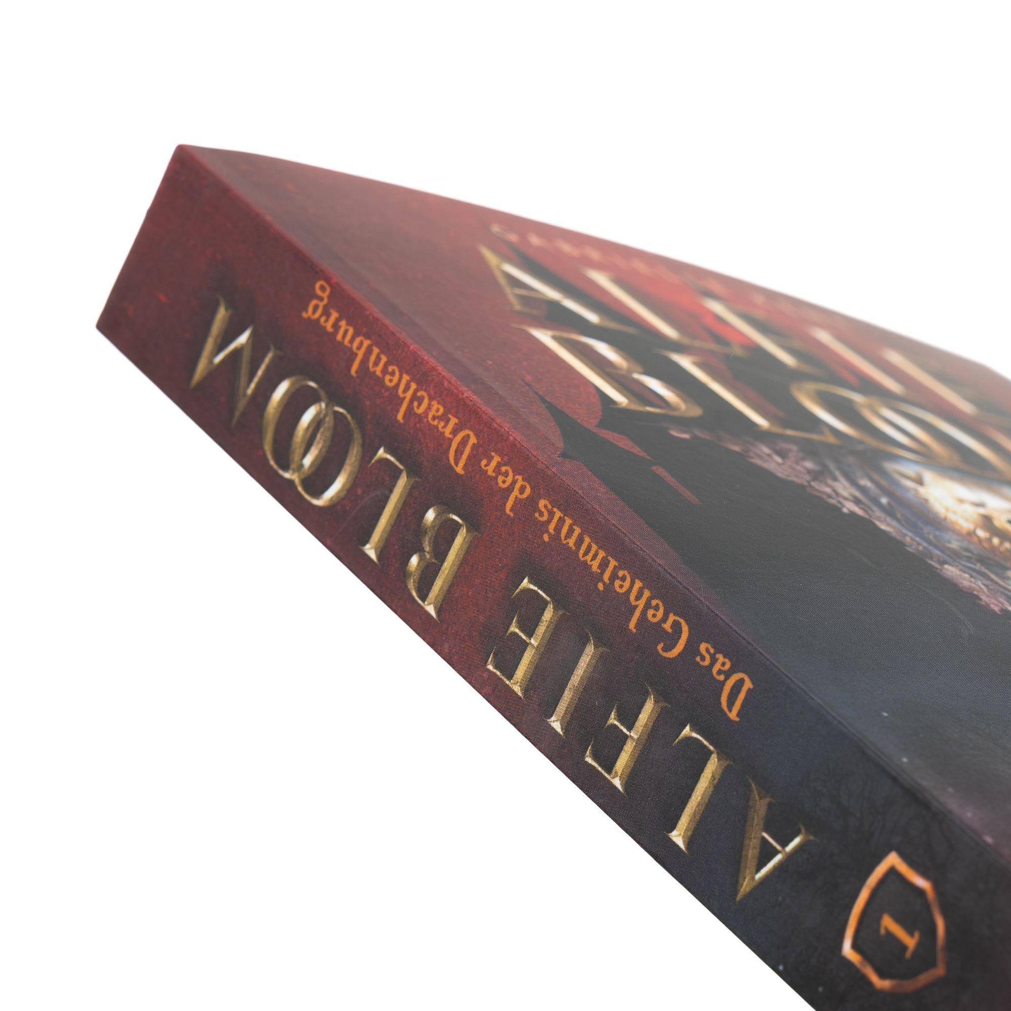 Beispielinhalt (Bild) Alfie Bloom. Das Geheimnis der Drachenburg