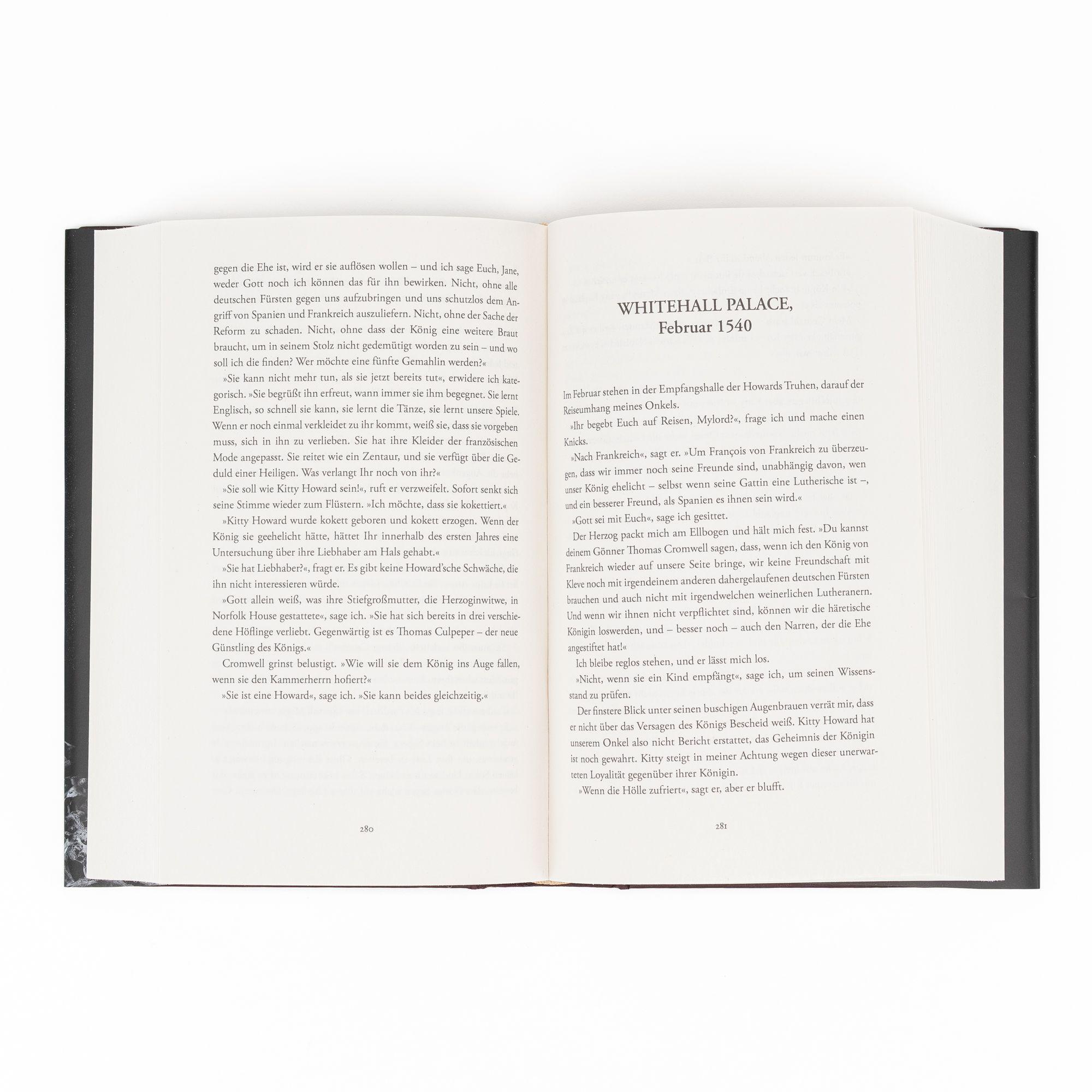 Beispielinhalt (Bild) Der letzte Verrat der Boleyns