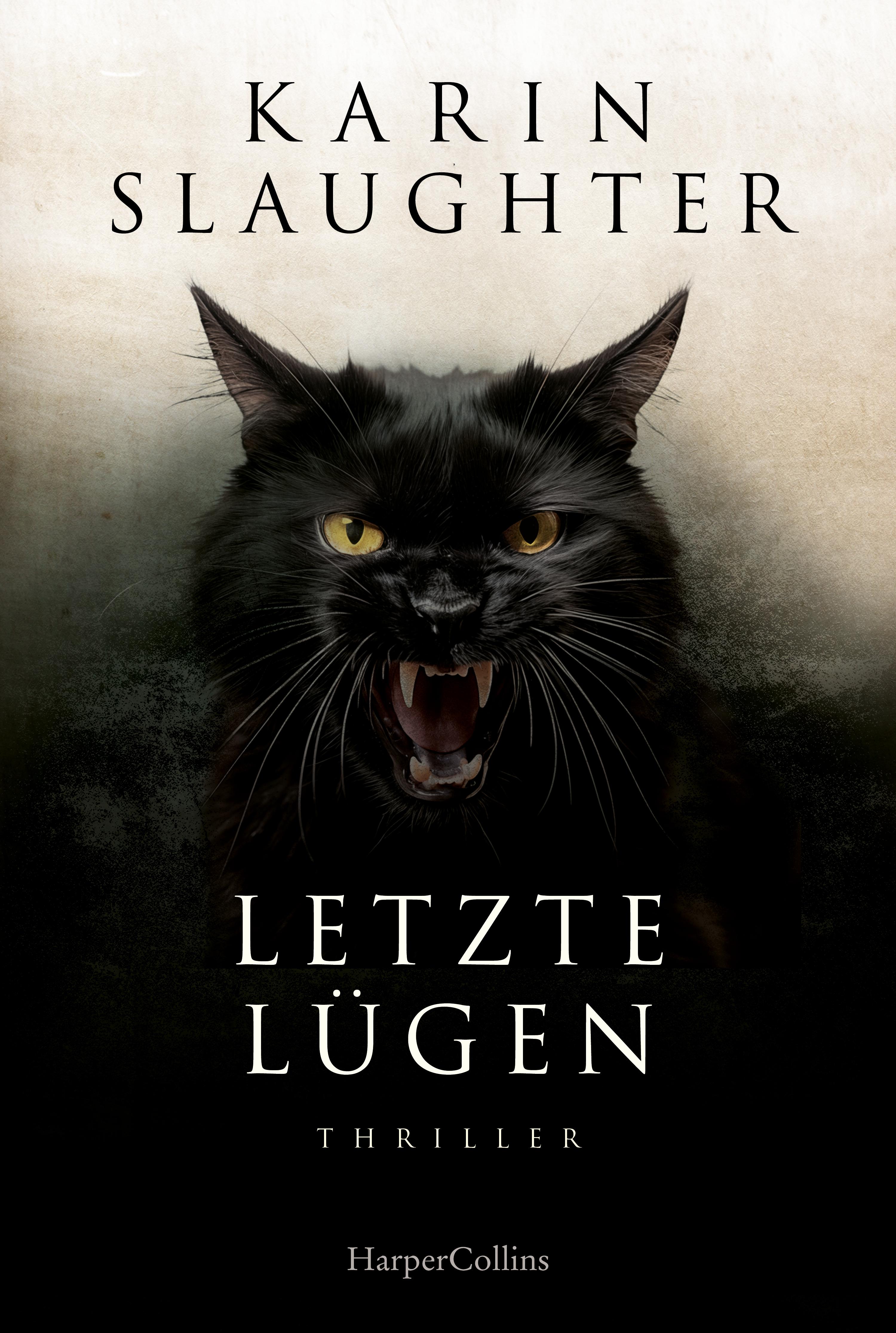 Vorderes Coverbild Letzte Lügen