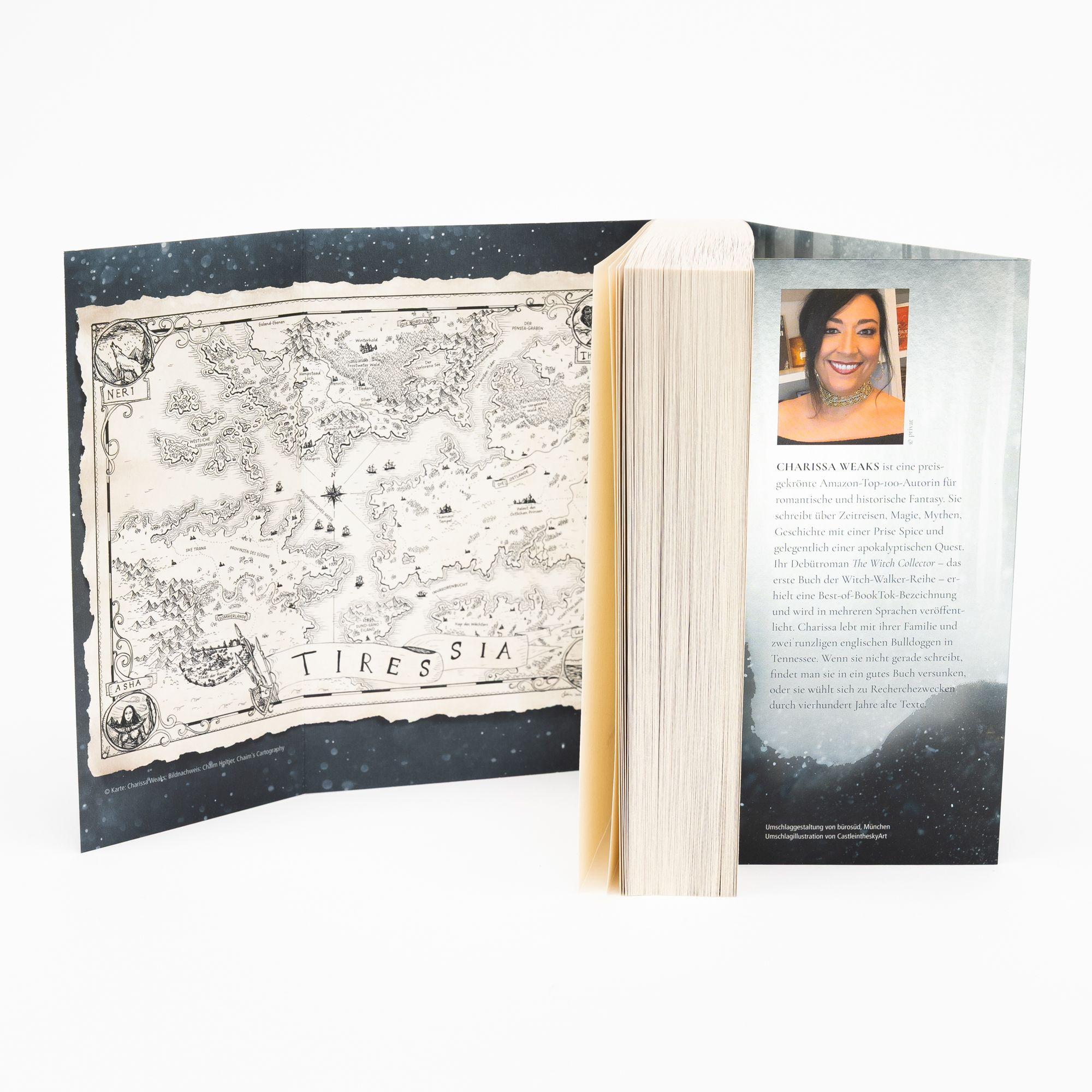 Beispielinhalt (Bild) The Witch Collector