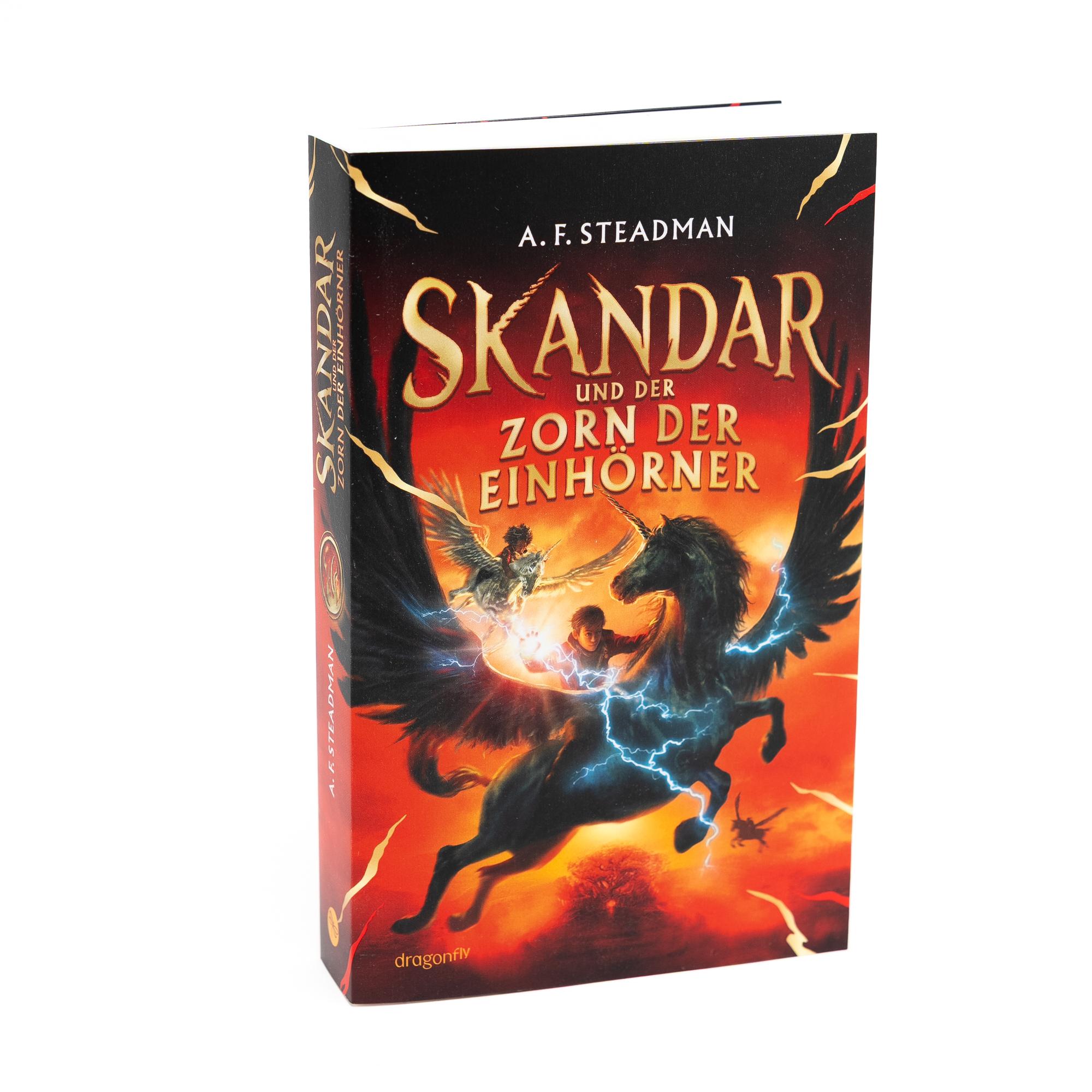 Beispielinhalt (Bild) Skandar und der Zorn der Einhörner