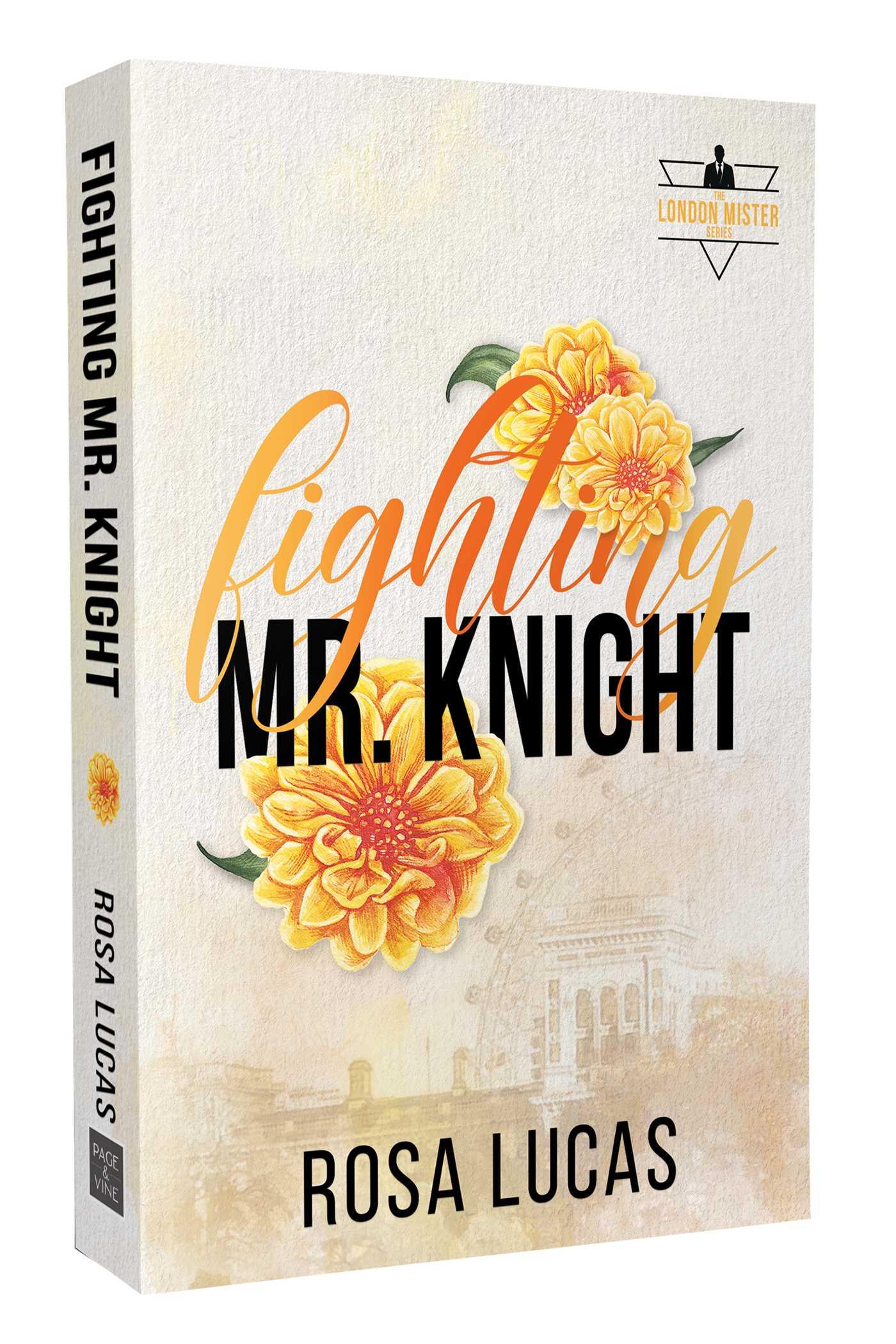 Vorderes Coverbild Fighting Mr. Knight