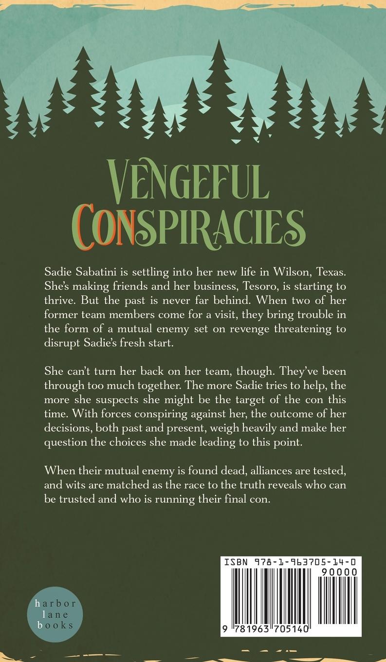 Rückseitencover Vengeful CONspiracies