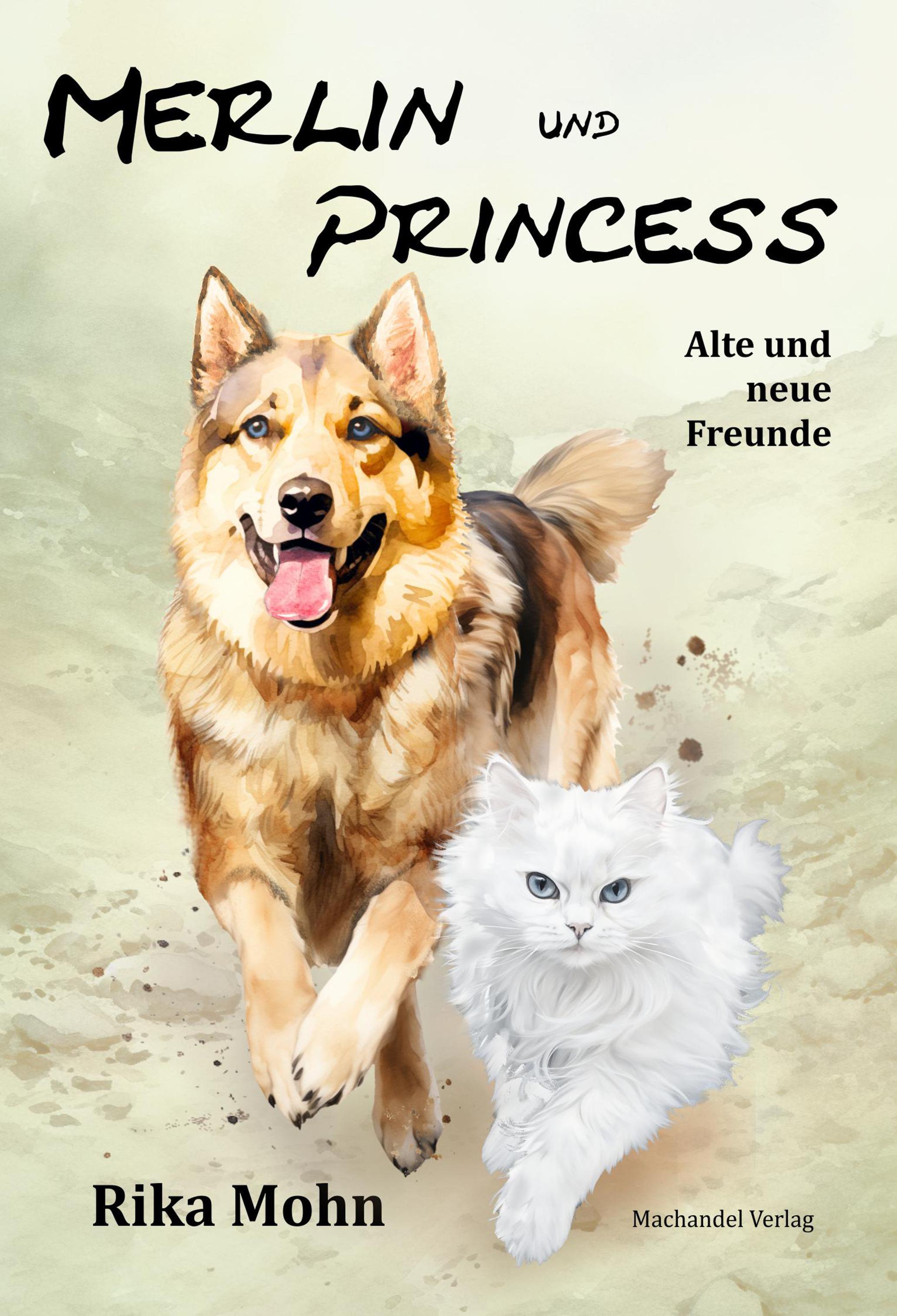 Vorderes Coverbild Merlin und Princess