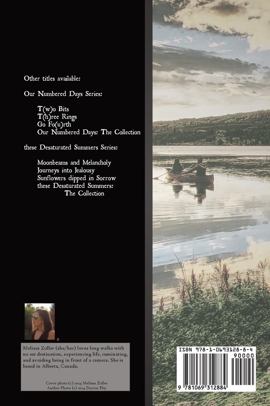 Rückseitencover these Desaturated Summers