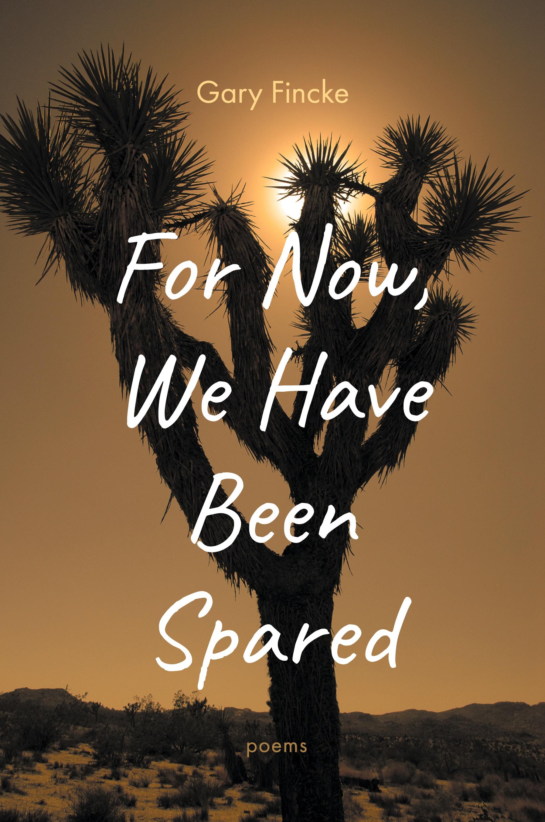 Vorderes Coverbild For Now, We Have Been Spared
