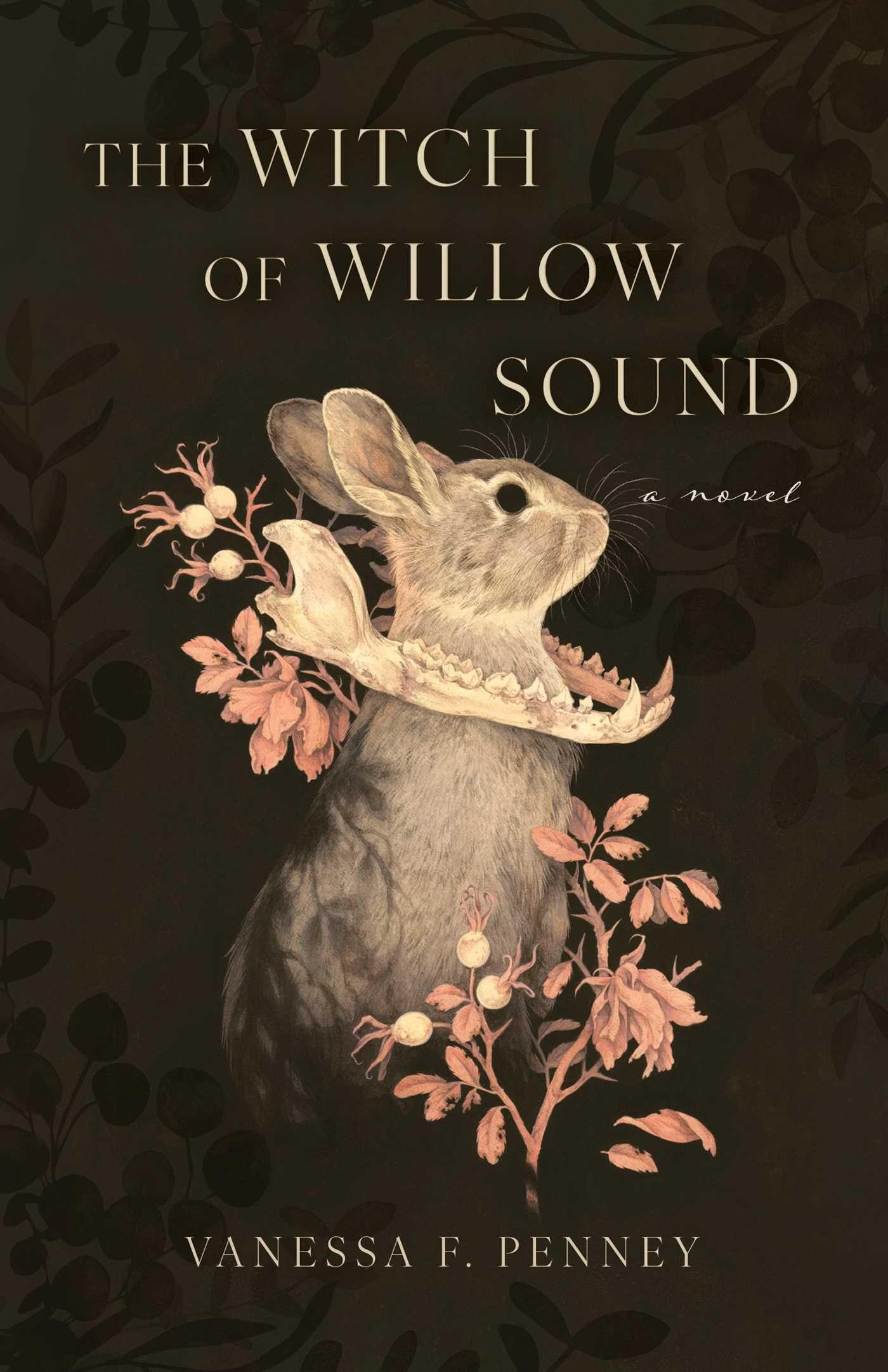 Vorderes Coverbild The Witch of Willow Sound