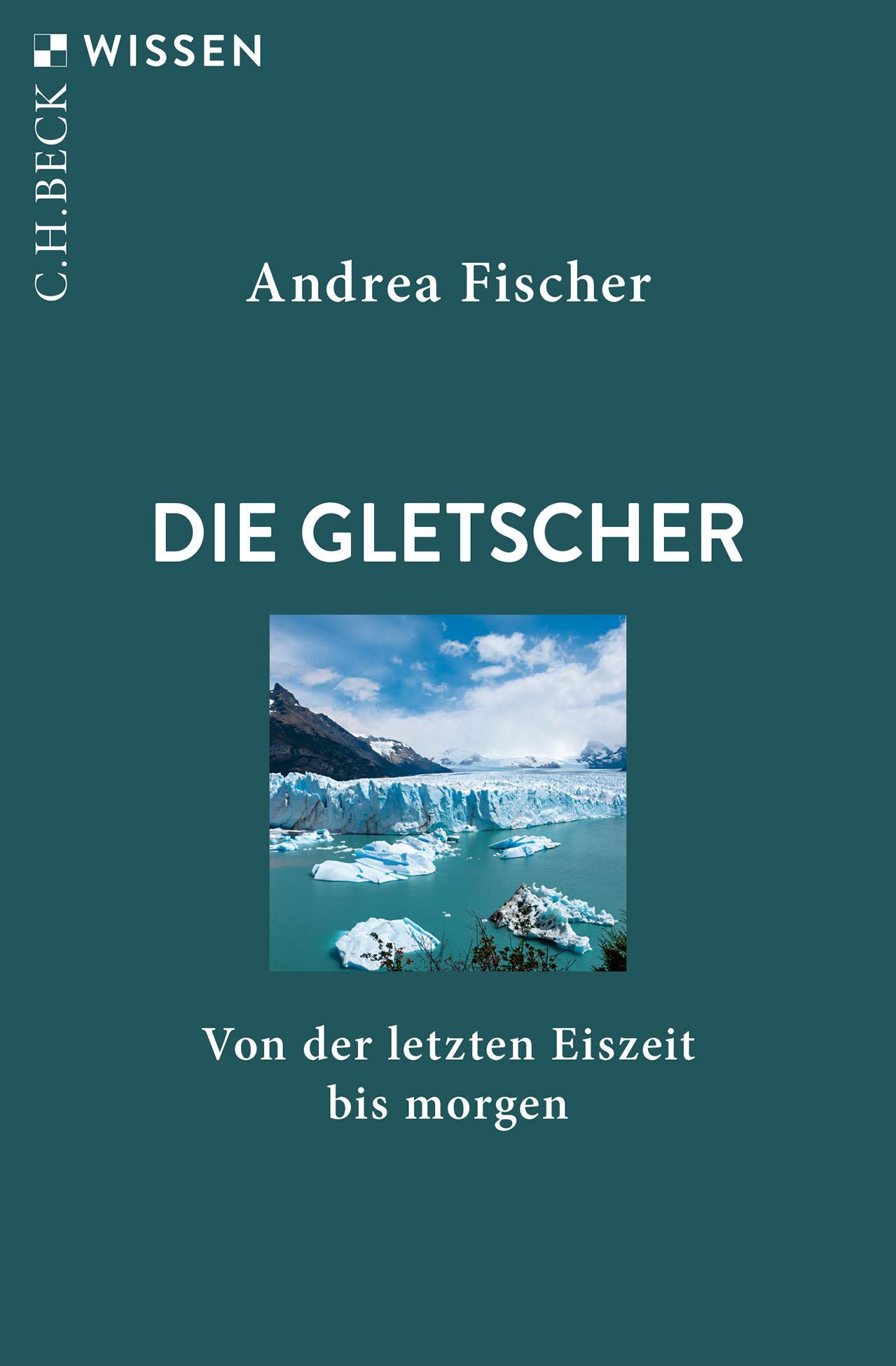 Vorderes Coverbild Die Gletscher