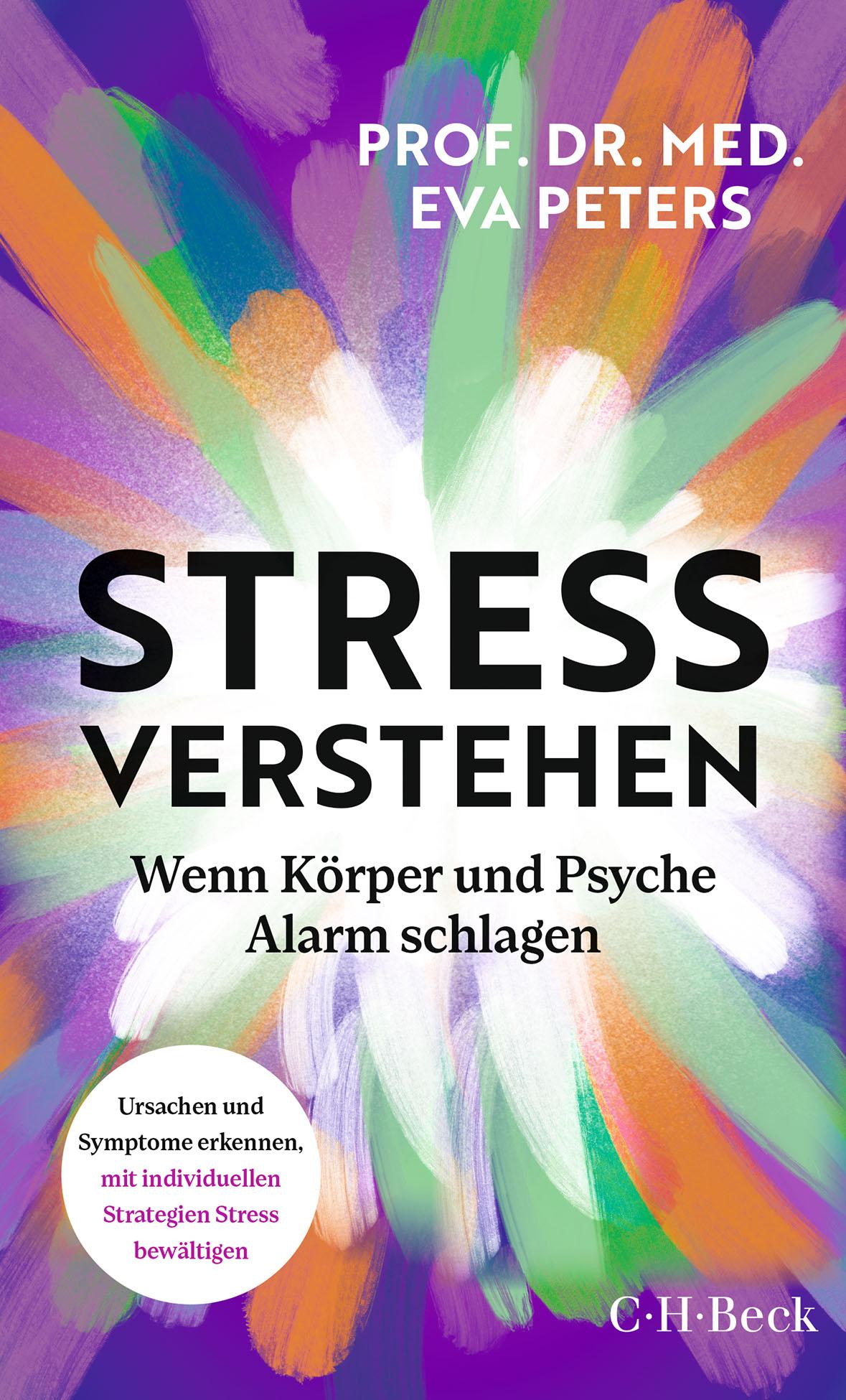 Vorderes Coverbild Stress verstehen