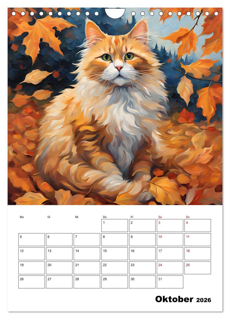 Beispielinhalt (Bild) Katzenmagie (Wandkalender 2026 DIN A4 hoch), CALVENDO Monatskalender