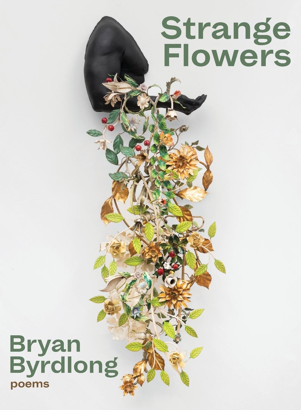 Vorderes Coverbild Strange Flowers