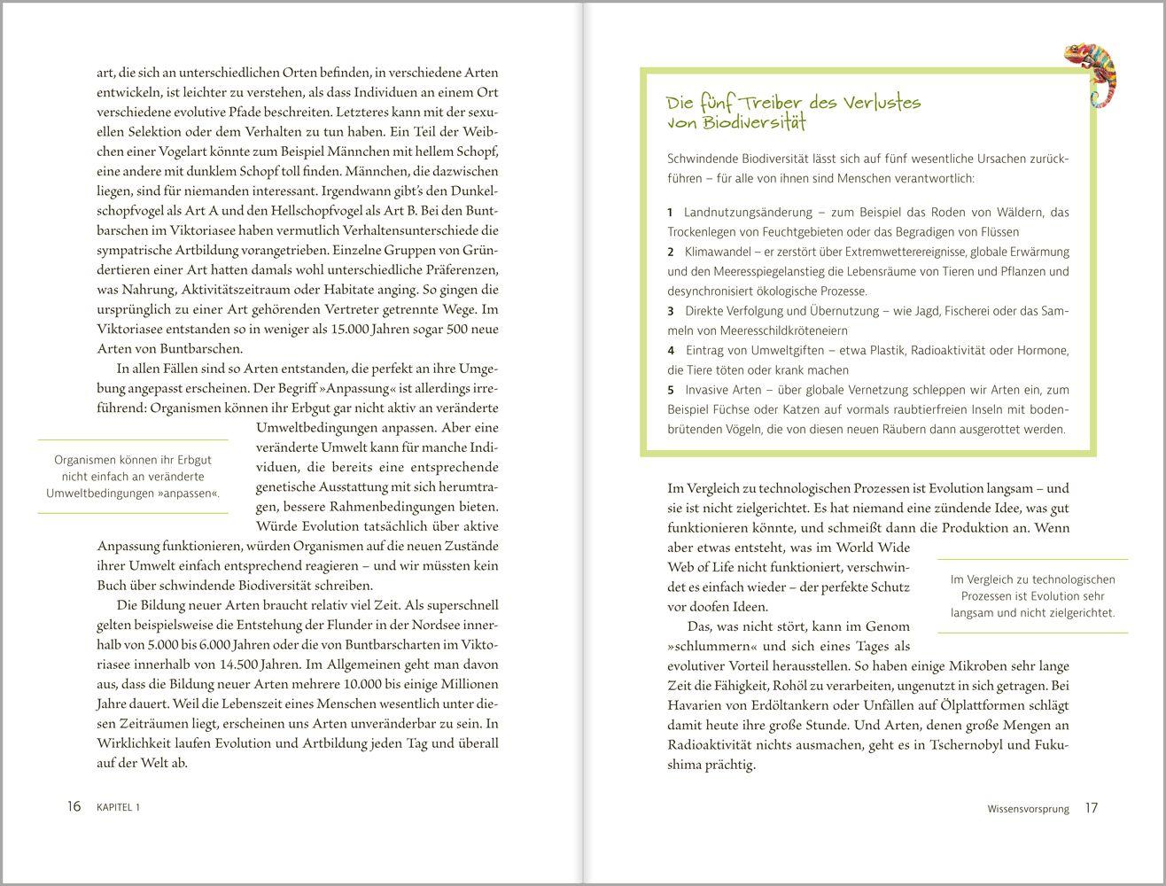 Beispielinhalt (Bild) Kann KI die Natur retten?