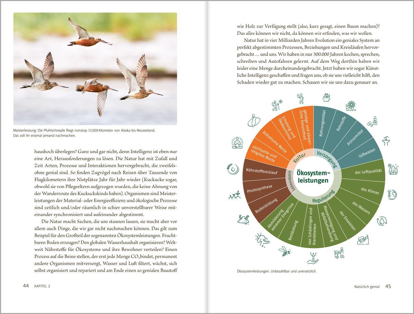 Beispielinhalt (Bild) Kann KI die Natur retten?