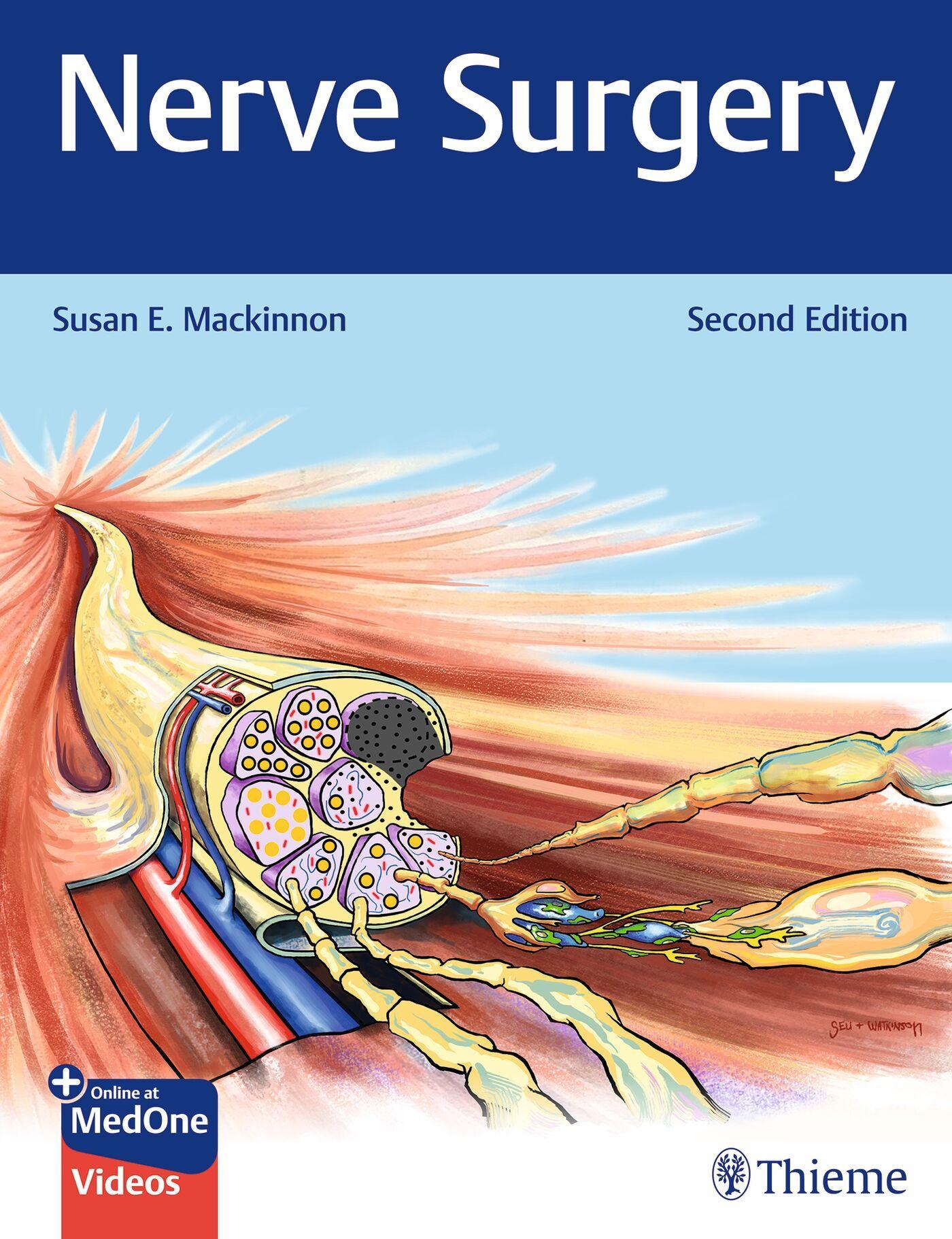 Vorderes Coverbild Nerve Surgery