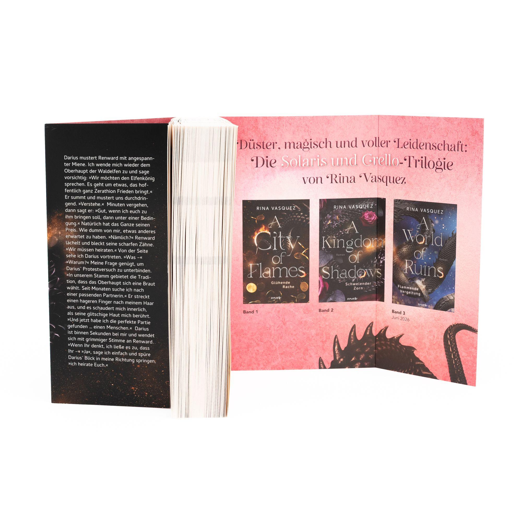 Beispielinhalt (Bild) A Kingdom of Shadows