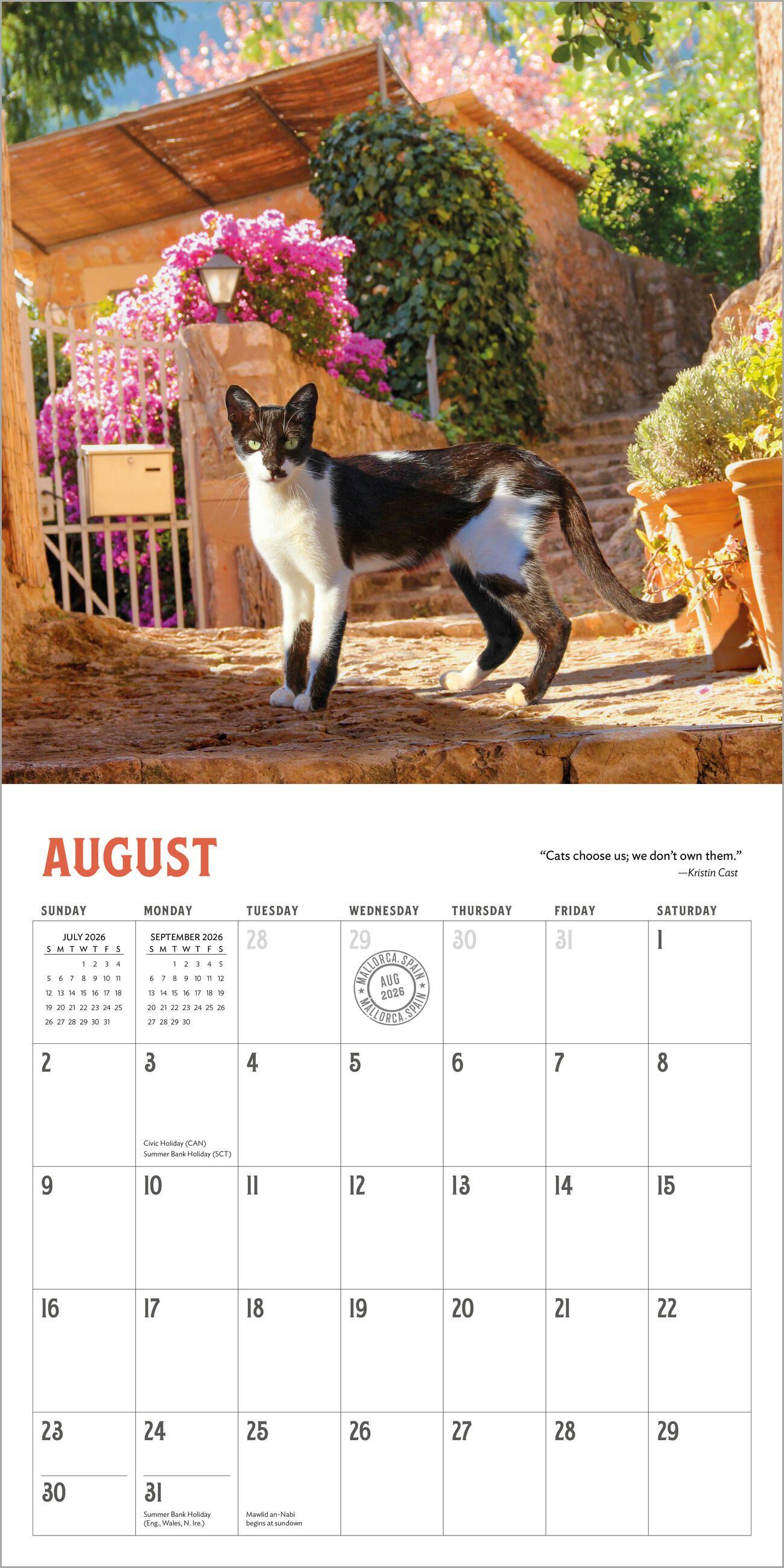 Beispielinhalt (Bild) Travel Cats Wall Calendar 2026