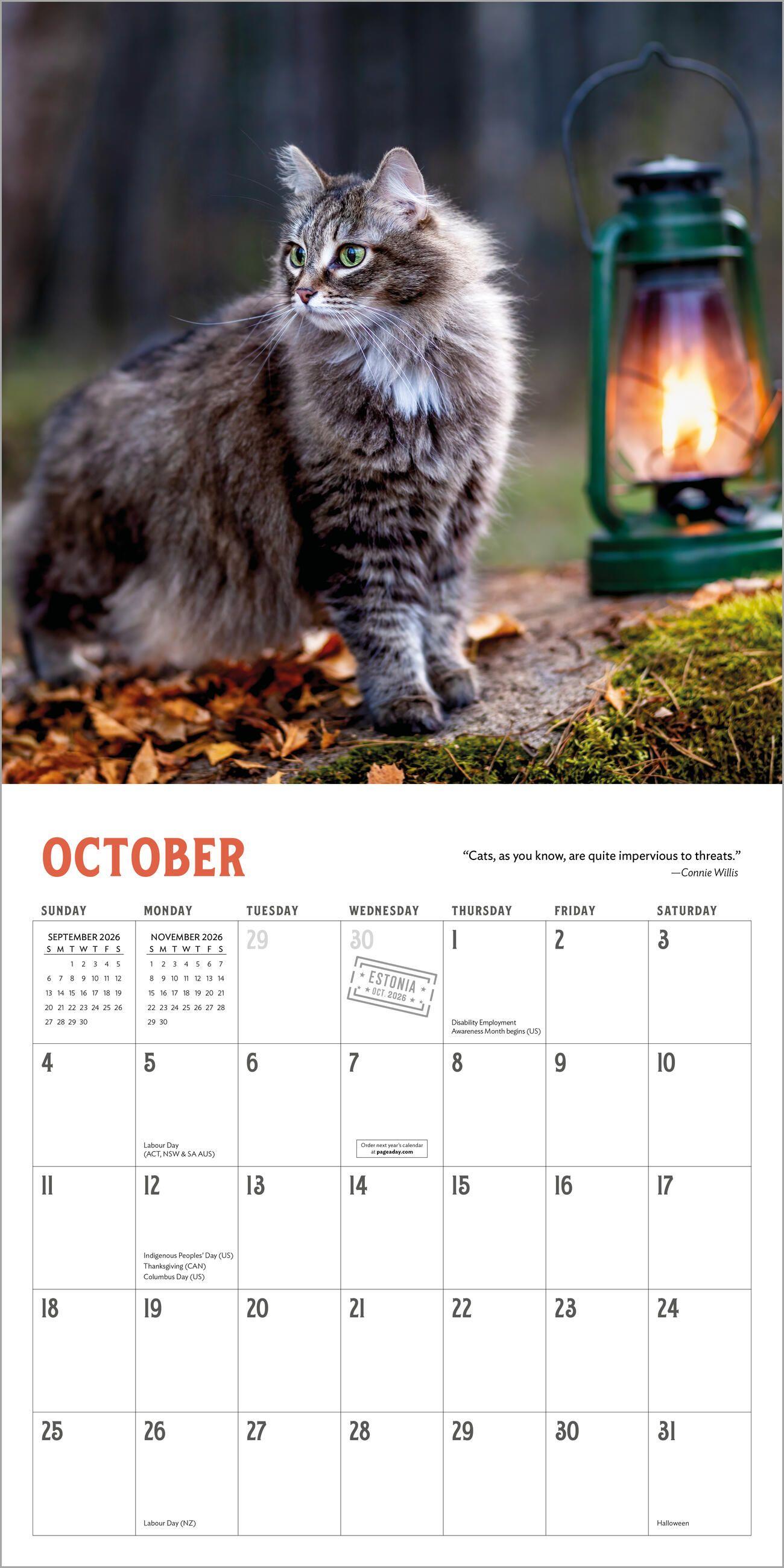 Beispielinhalt (Bild) Travel Cats Wall Calendar 2026