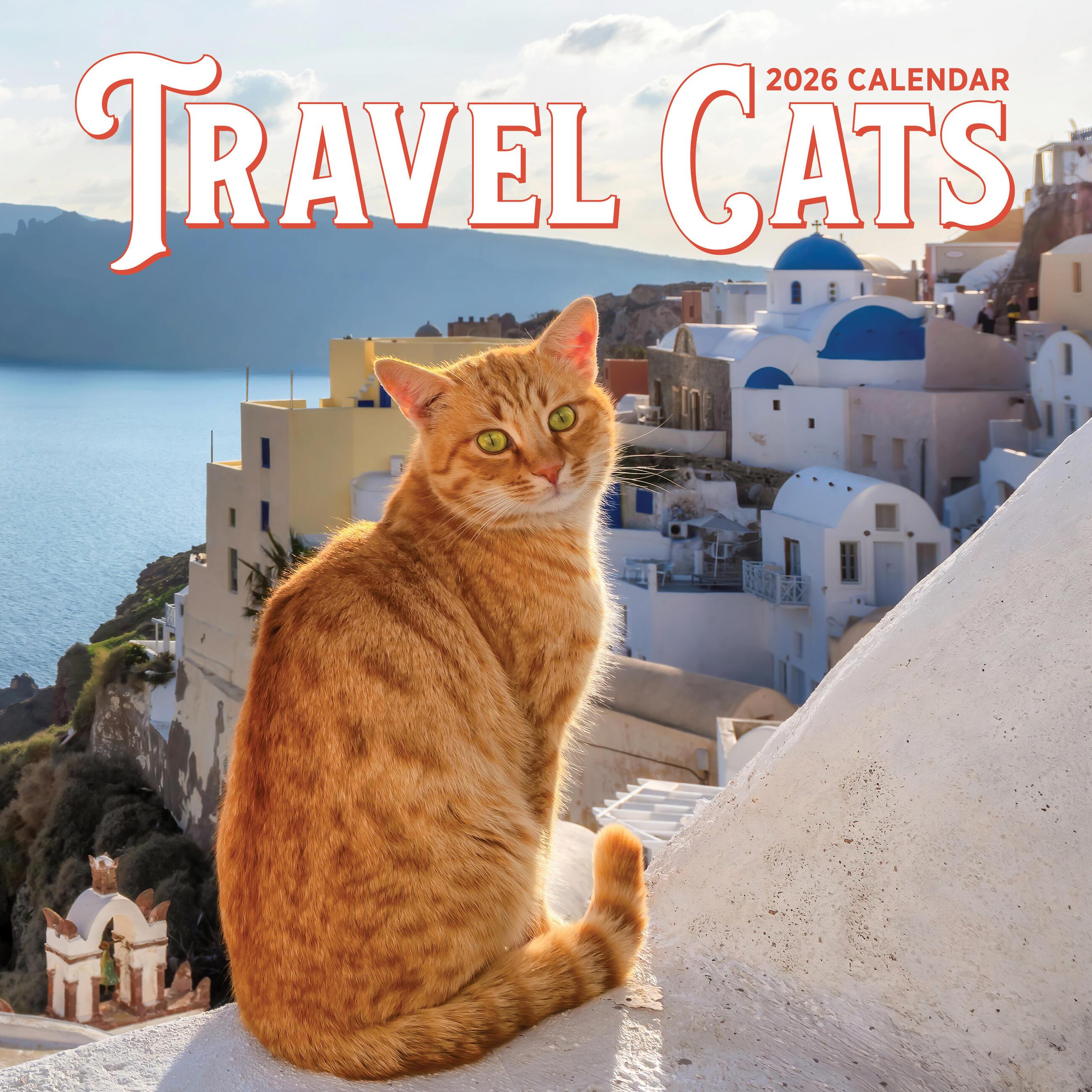 Vorderes Coverbild Travel Cats Wall Calendar 2026
