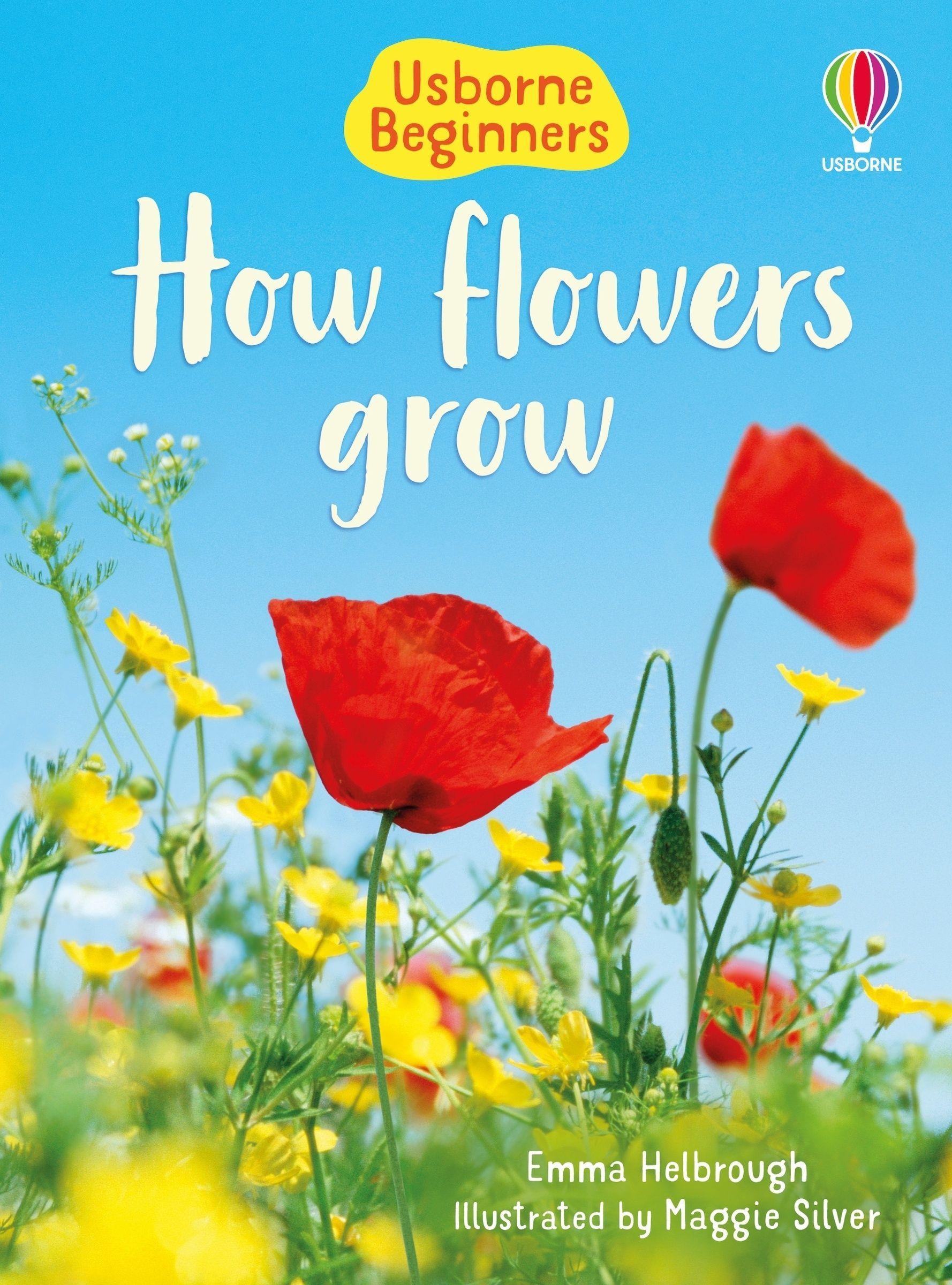 Vorderes Coverbild How Flowers Grow (Usborne Beginners)