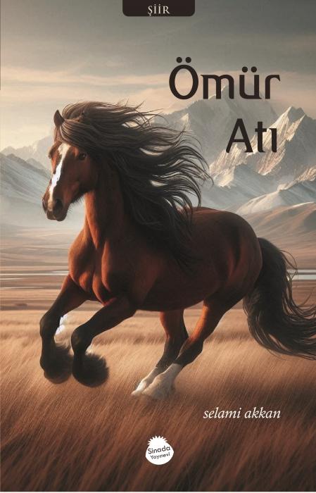 Vorderes Coverbild Ömür Ati