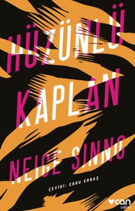 Vorderes Coverbild Hüzünlü Kaplan