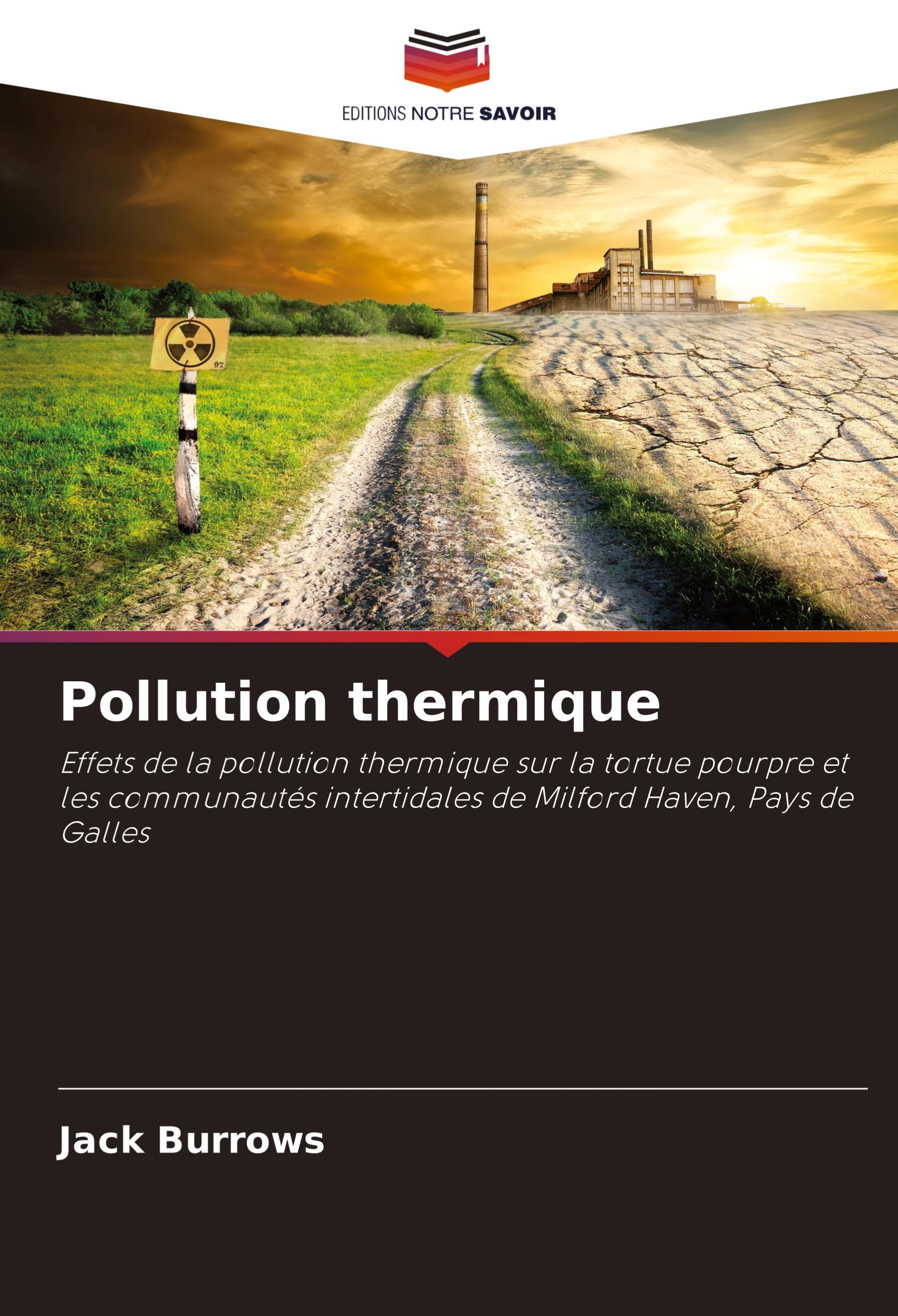 Vorderes Coverbild Pollution thermique