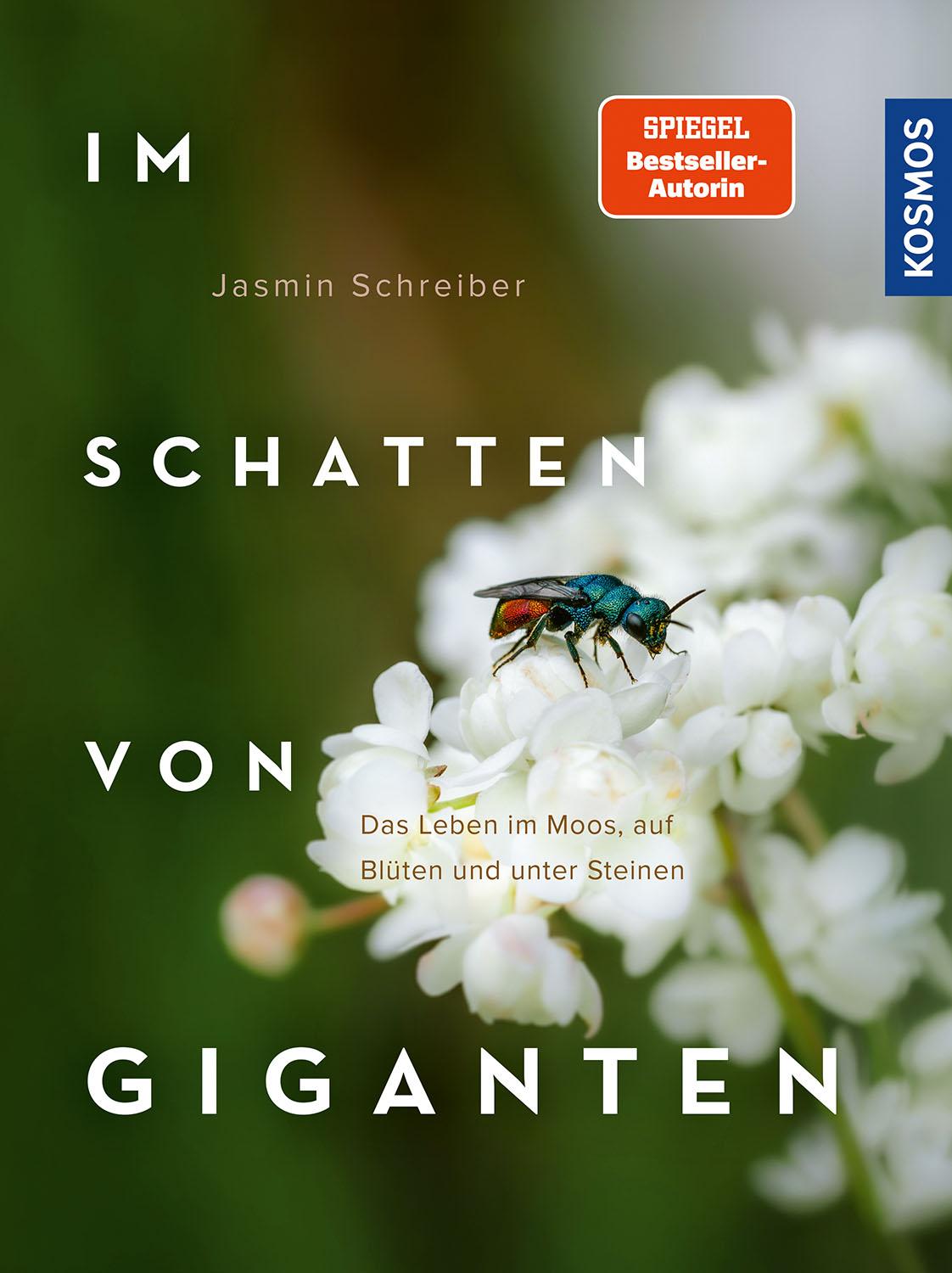Vorderes Coverbild Im Schatten von Giganten