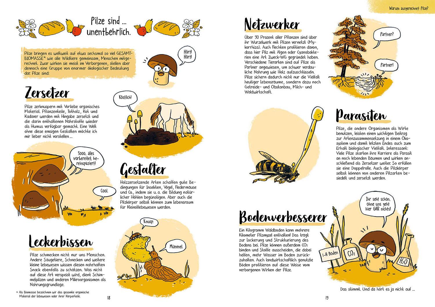 Beispielinhalt (Bild) Pilze für Ahnungslose