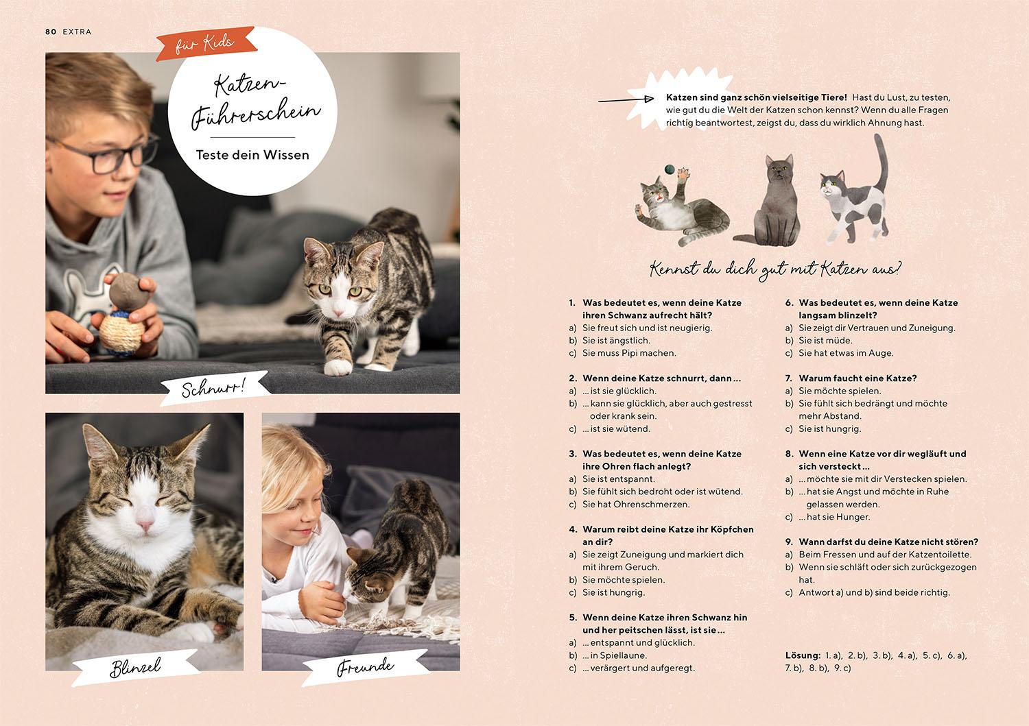Beispielinhalt (Bild) Katzensprache