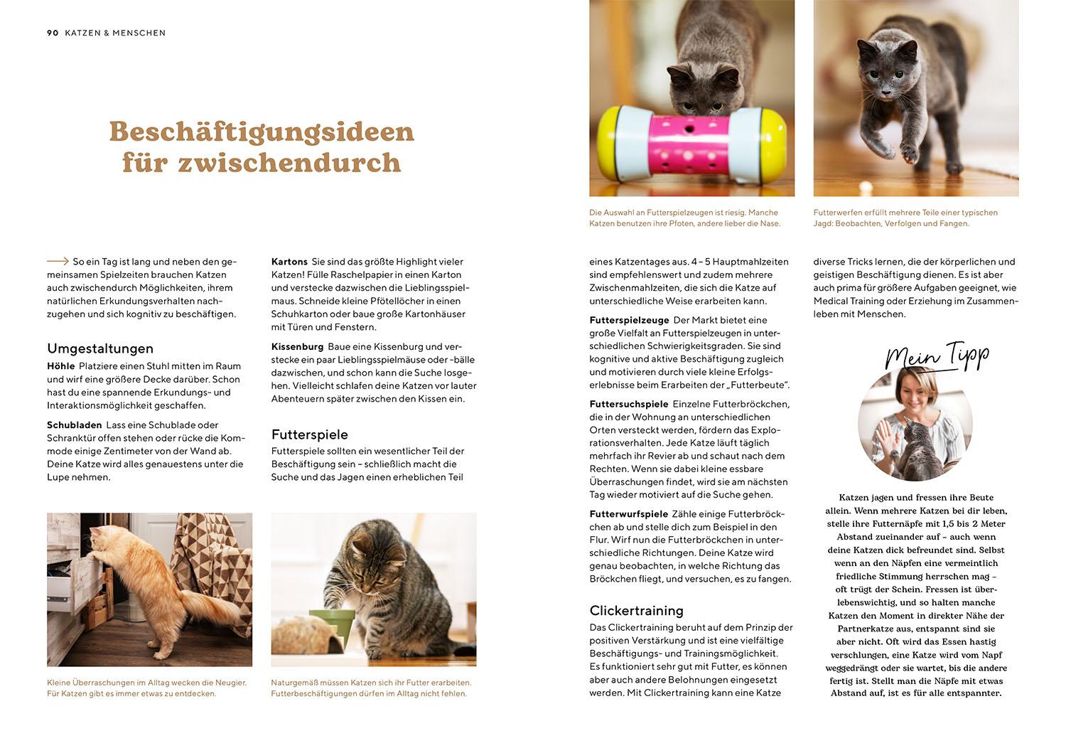 Beispielinhalt (Bild) Katzensprache