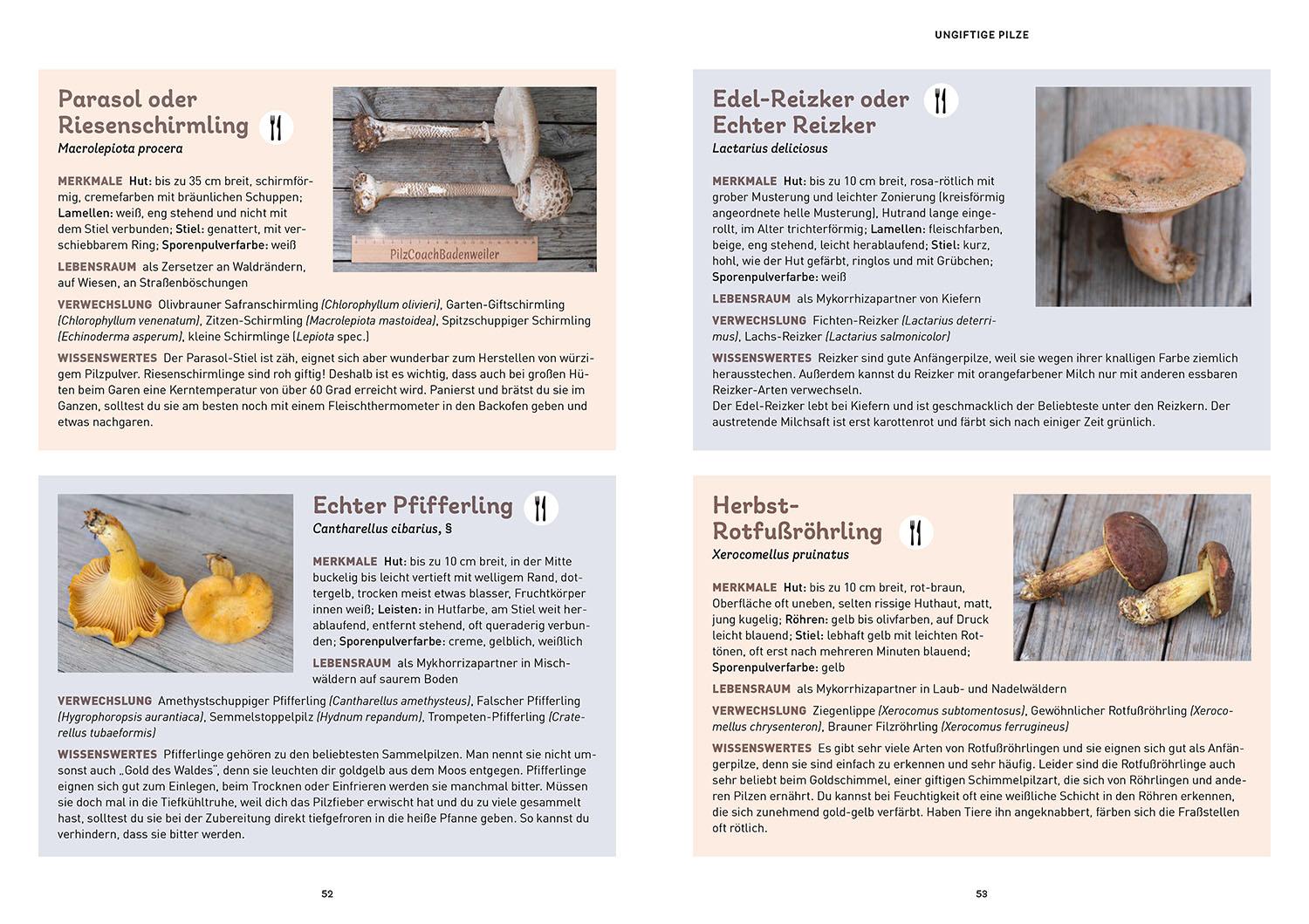 Beispielinhalt (Bild) Das Pilzbuch für Kids