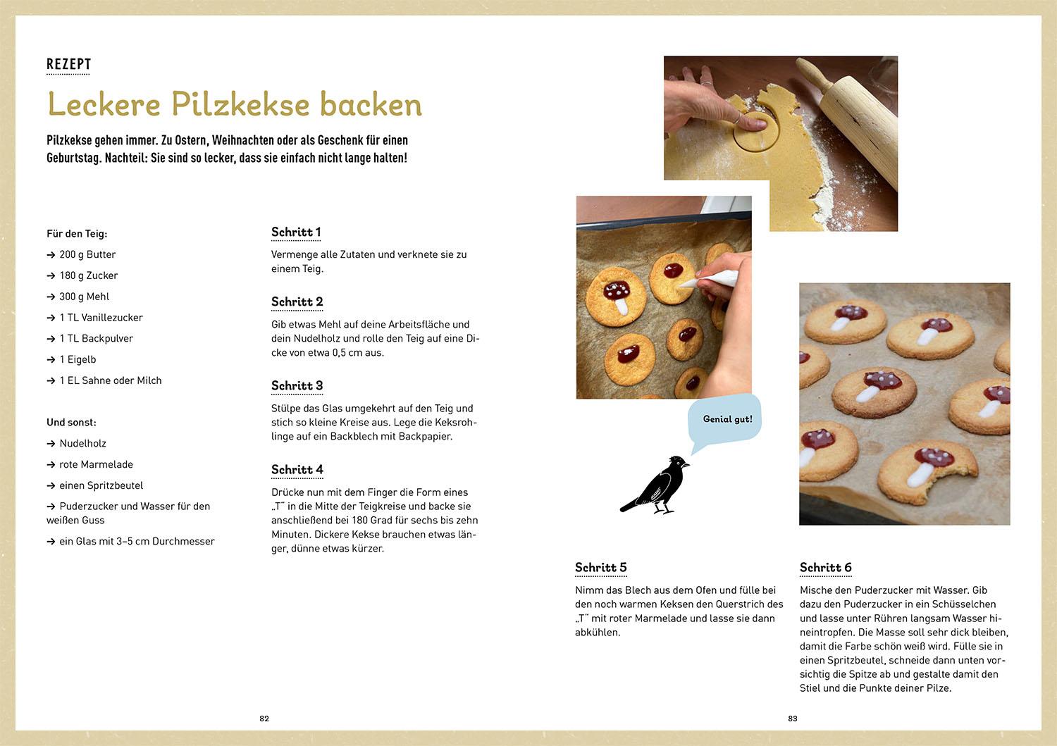 Beispielinhalt (Bild) Das Pilzbuch für Kids