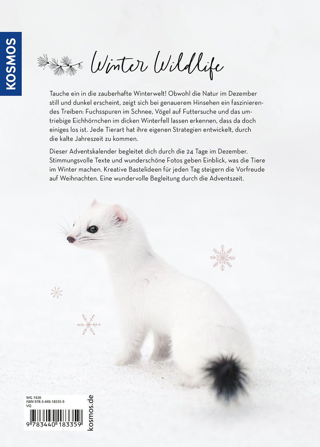 Beispielinhalt (Bild) Winter Moments in Nature - der Adventskalender