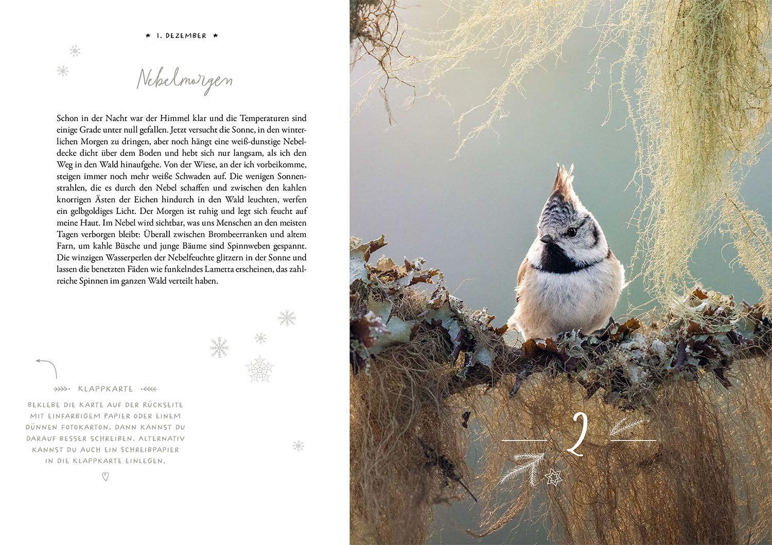 Beispielinhalt (Bild) Winter Moments in Nature - der Adventskalender