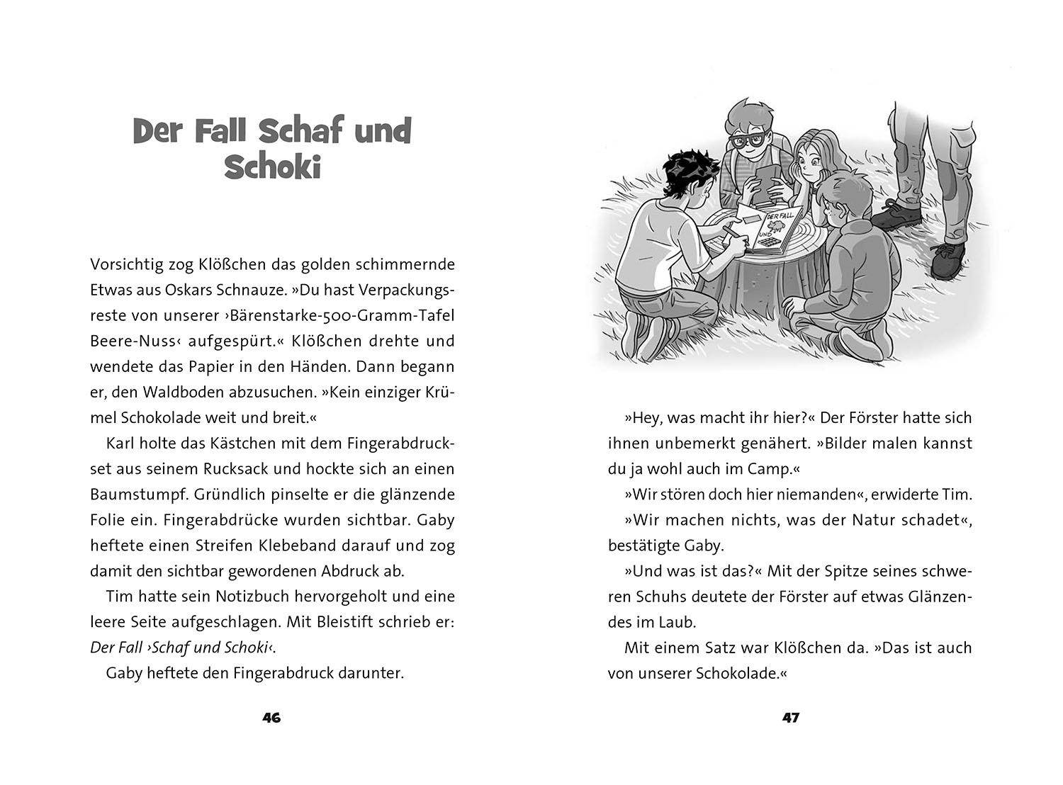 Beispielinhalt (Bild) TKKG Junior, Wolfsnächte