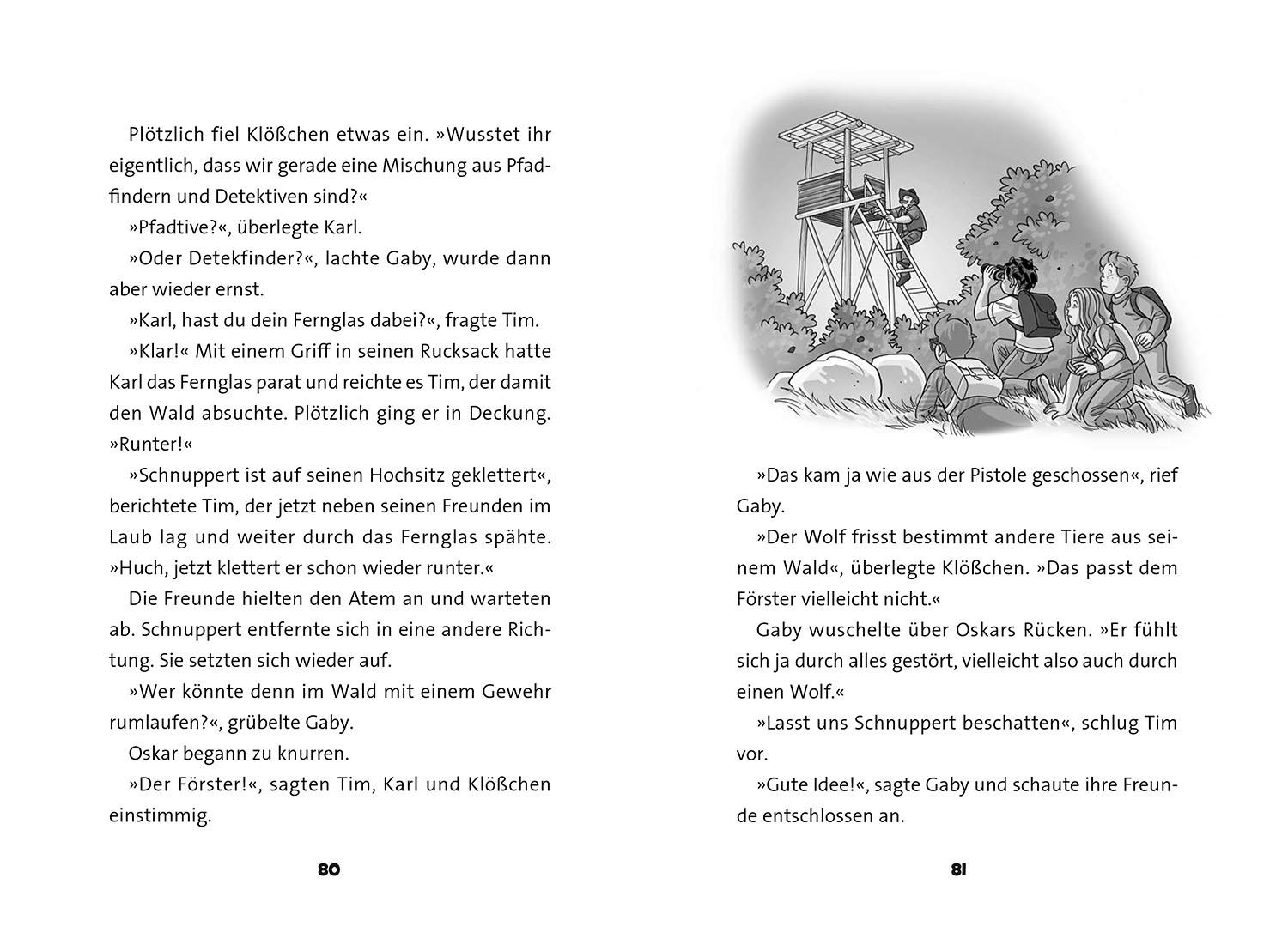 Beispielinhalt (Bild) TKKG Junior, Wolfsnächte
