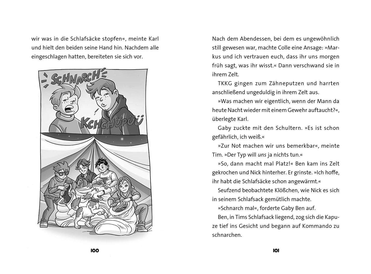 Beispielinhalt (Bild) TKKG Junior, Wolfsnächte