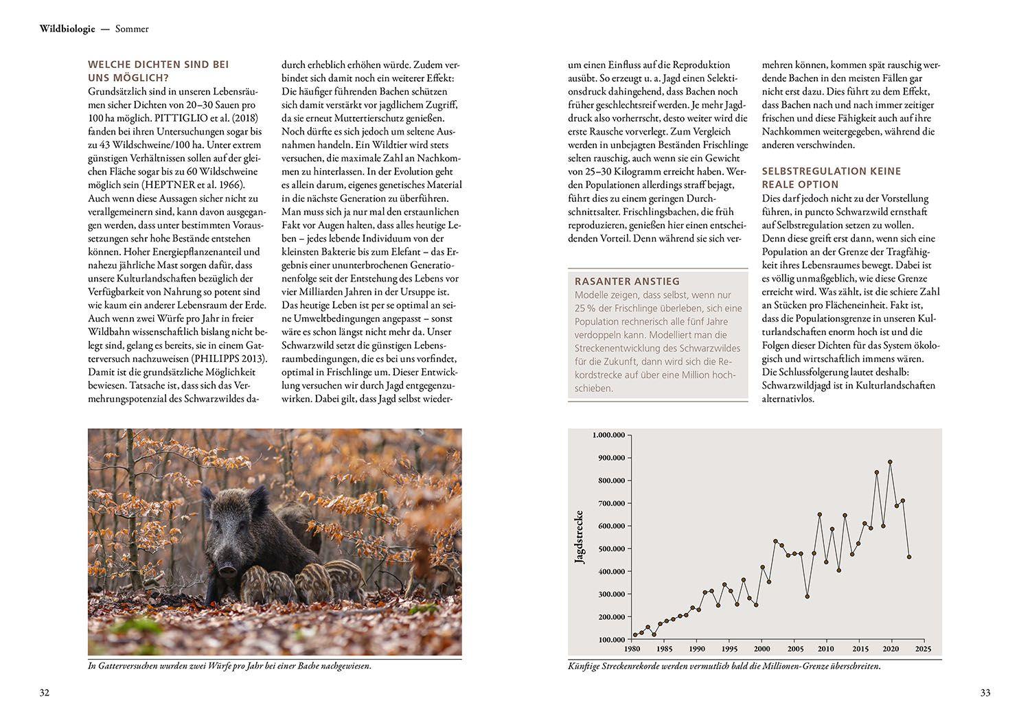 Beispielinhalt (Bild) Auf Sauen jagen - mit Herz und Verstand