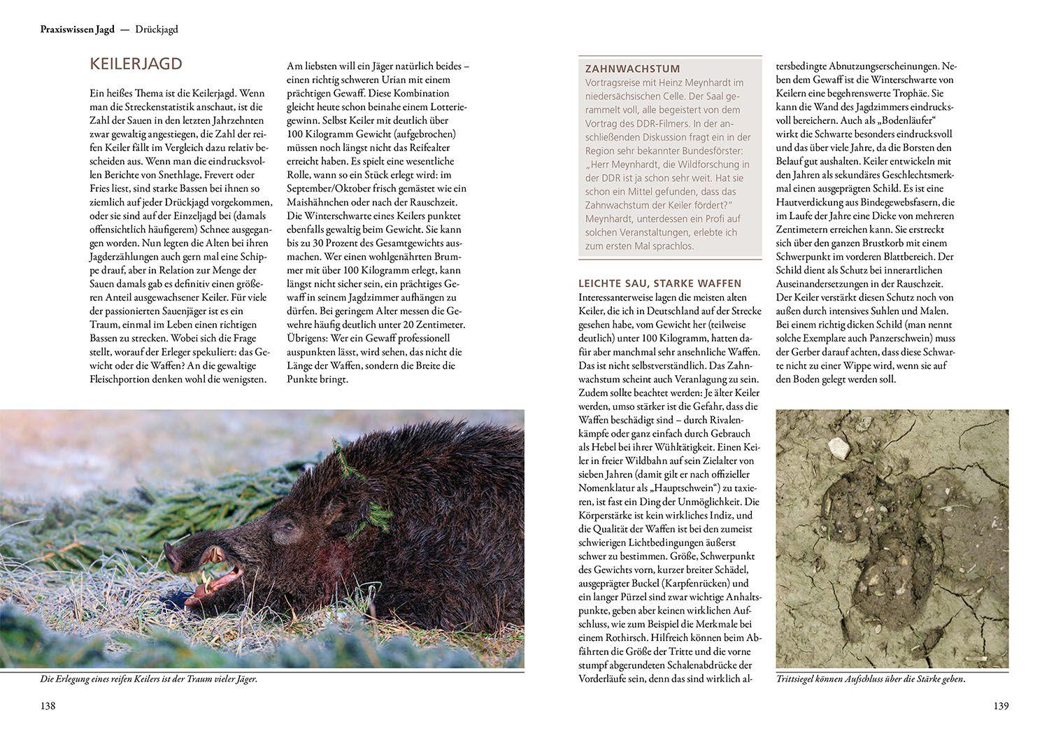 Beispielinhalt (Bild) Auf Sauen jagen - mit Herz und Verstand