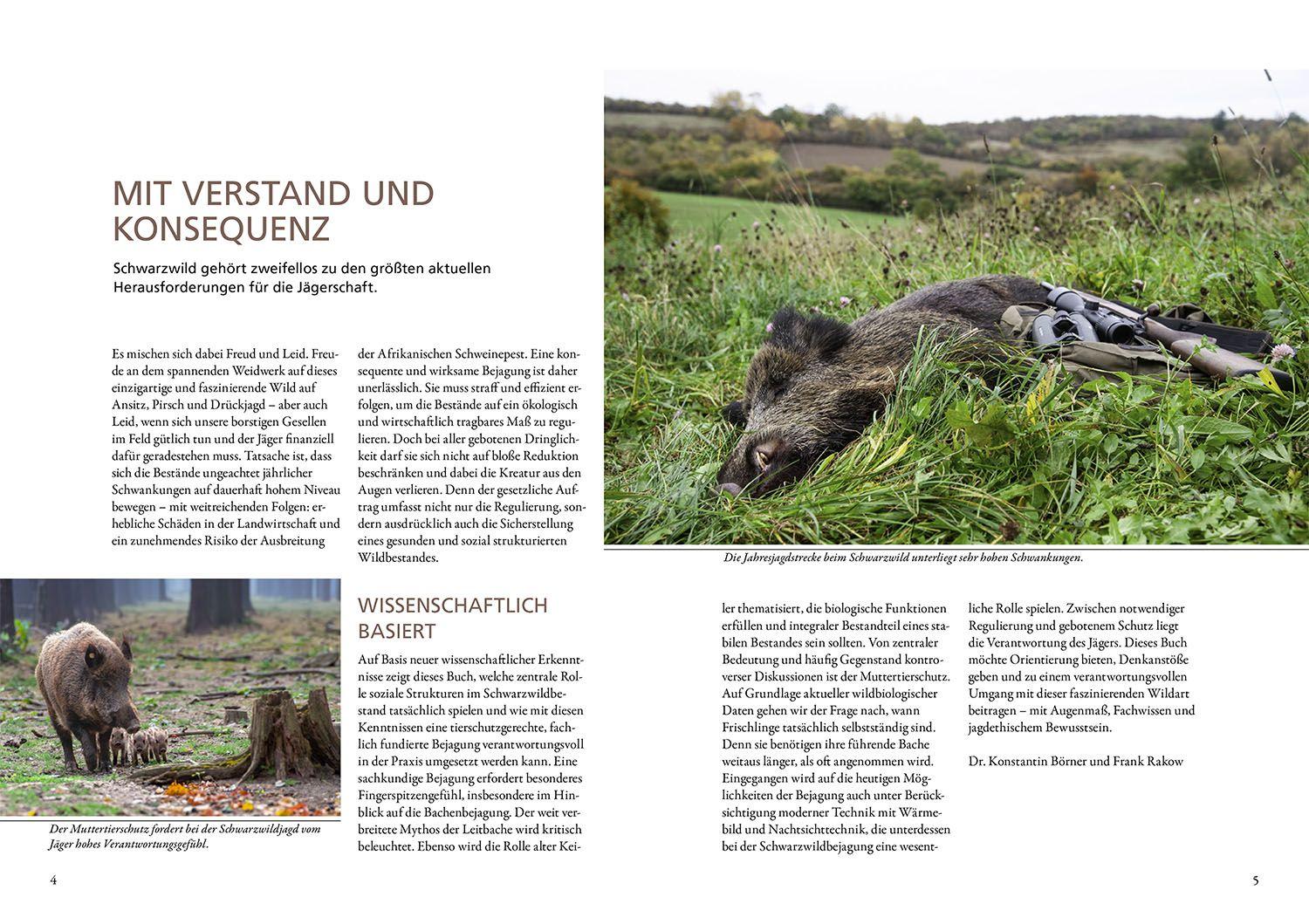 Beispielinhalt (Bild) Auf Sauen jagen - mit Herz und Verstand