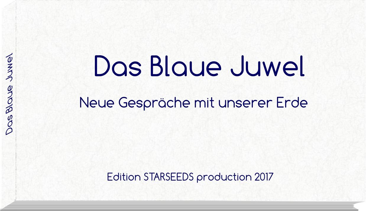 Vorderes Coverbild Das Blaue Juwel