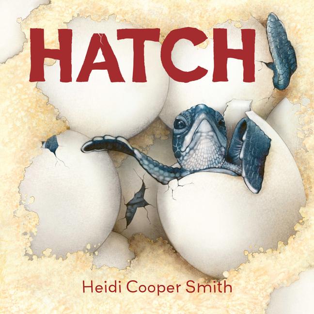 Vorderes Coverbild Hatch